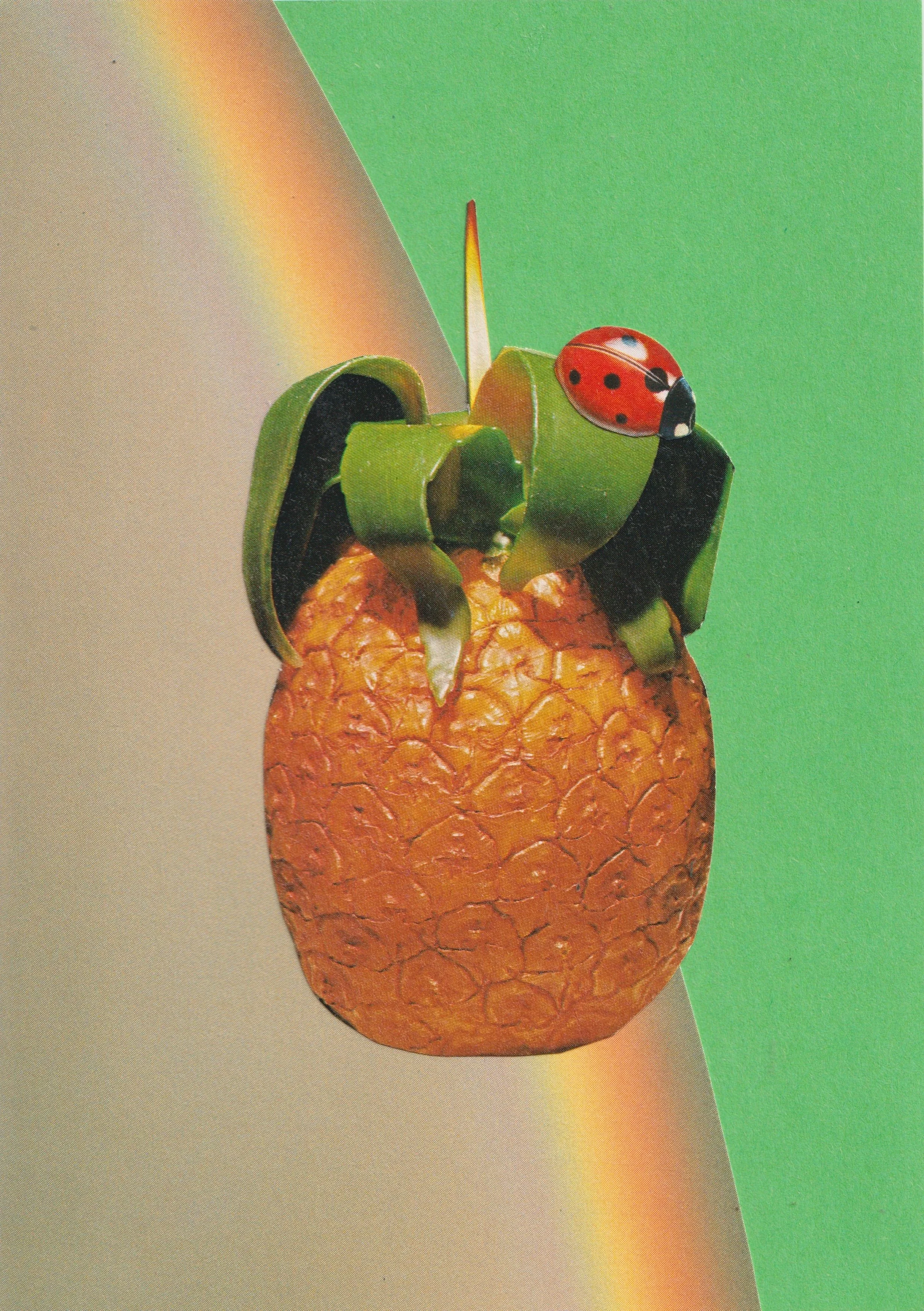 Pineapple Ladybird Card