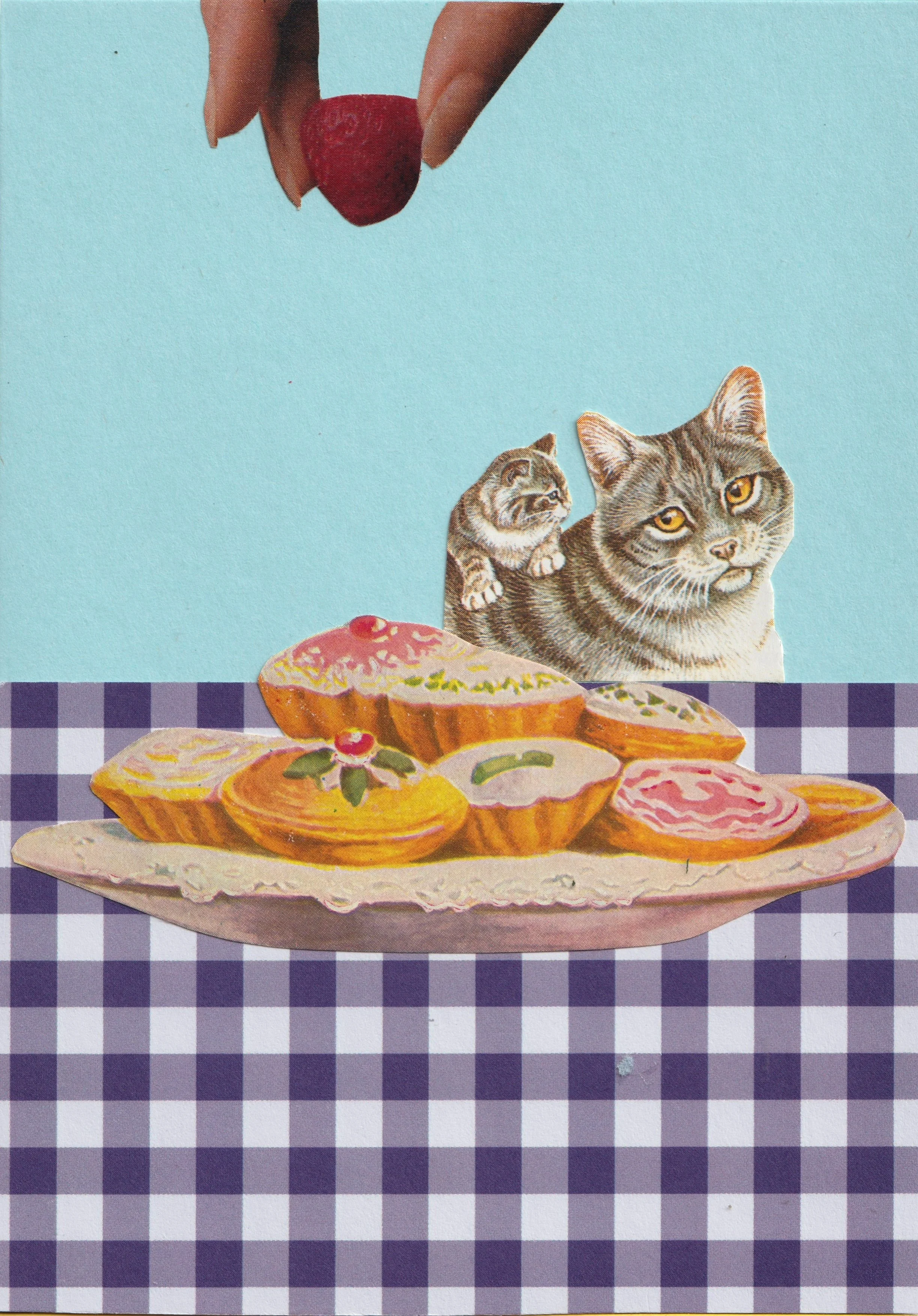 Cats and Cakes Card