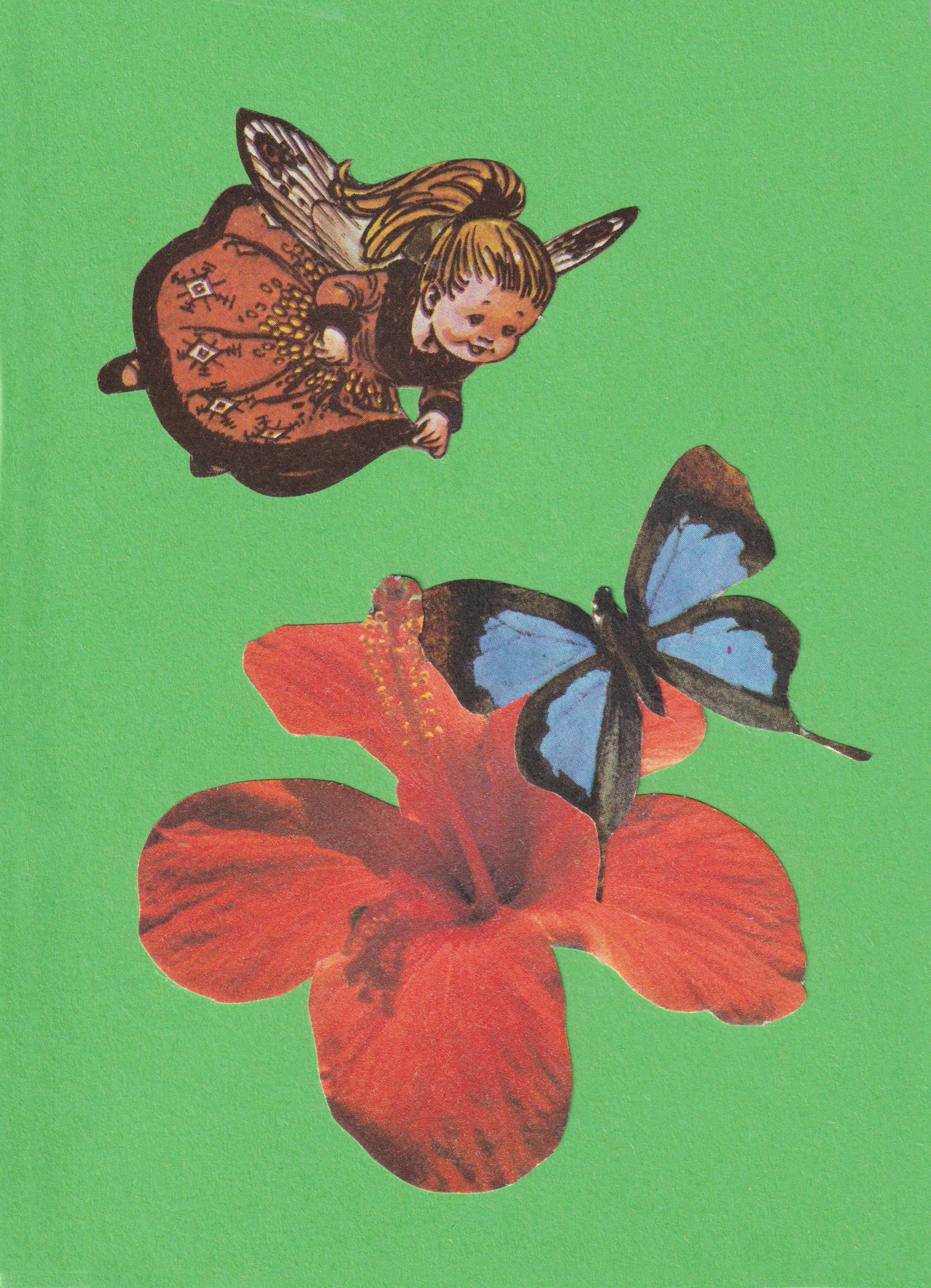 Wimsy Card