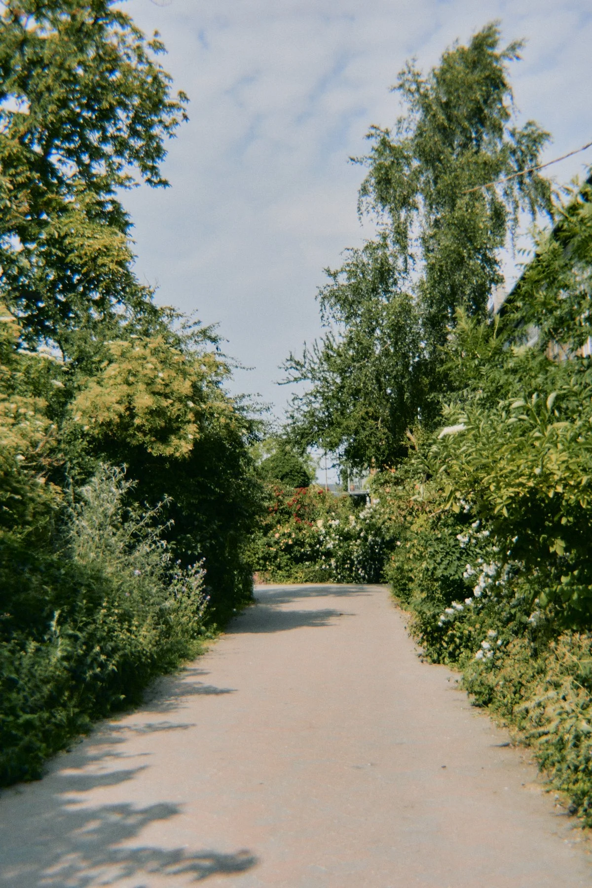 DSC08505.jpg