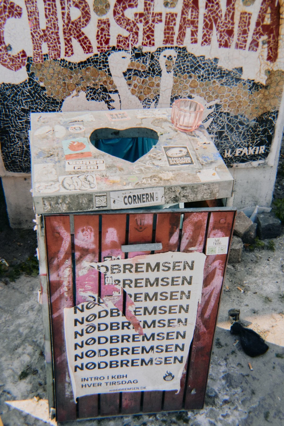DSC08515.jpg