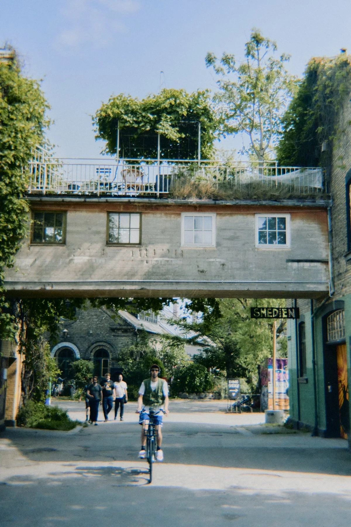 DSC08488.jpg