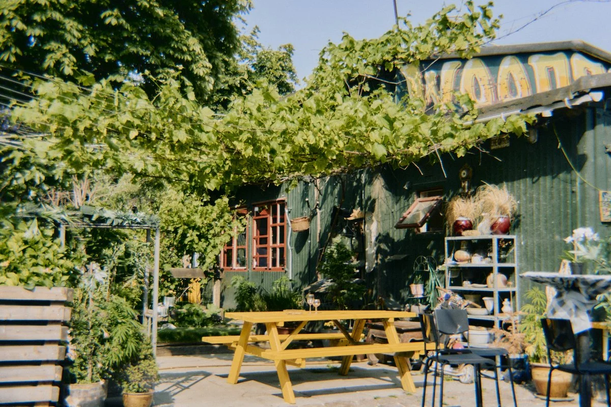 DSC08527.jpg