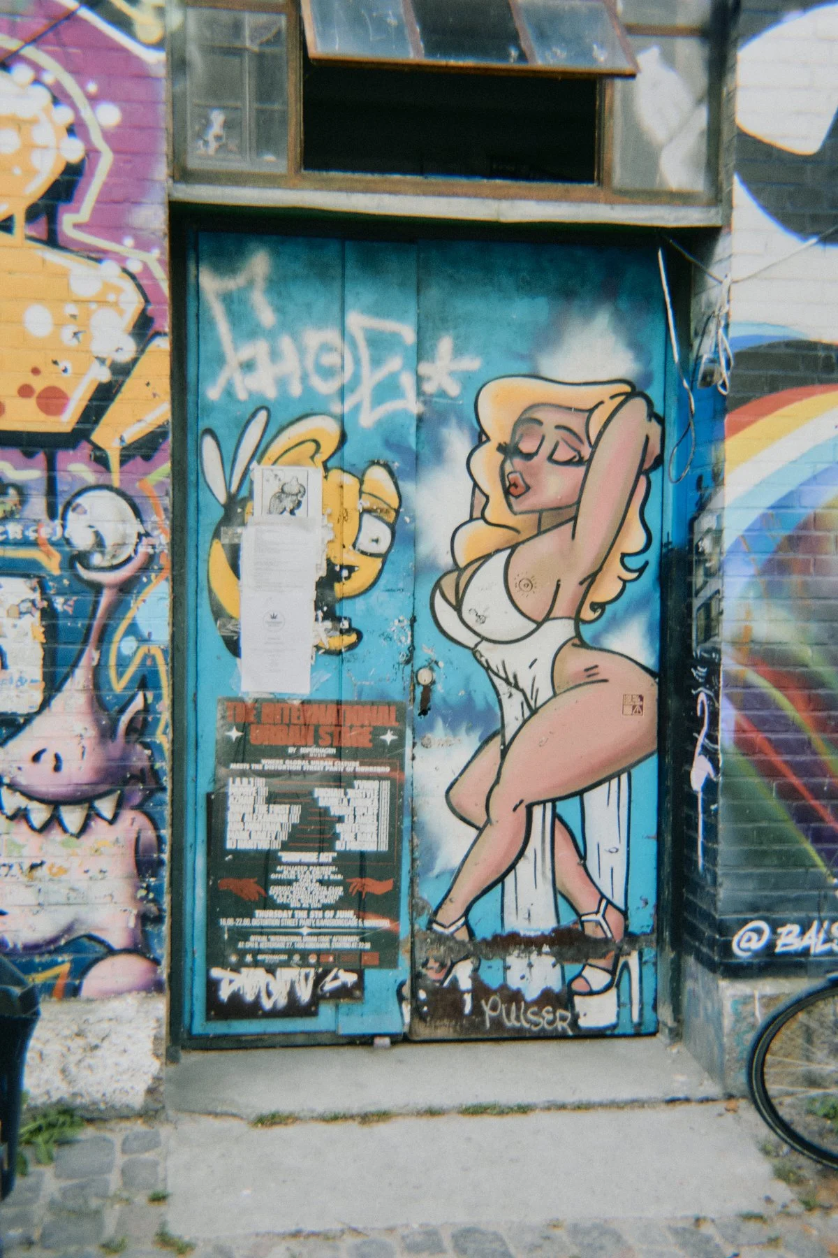 DSC08503.jpg