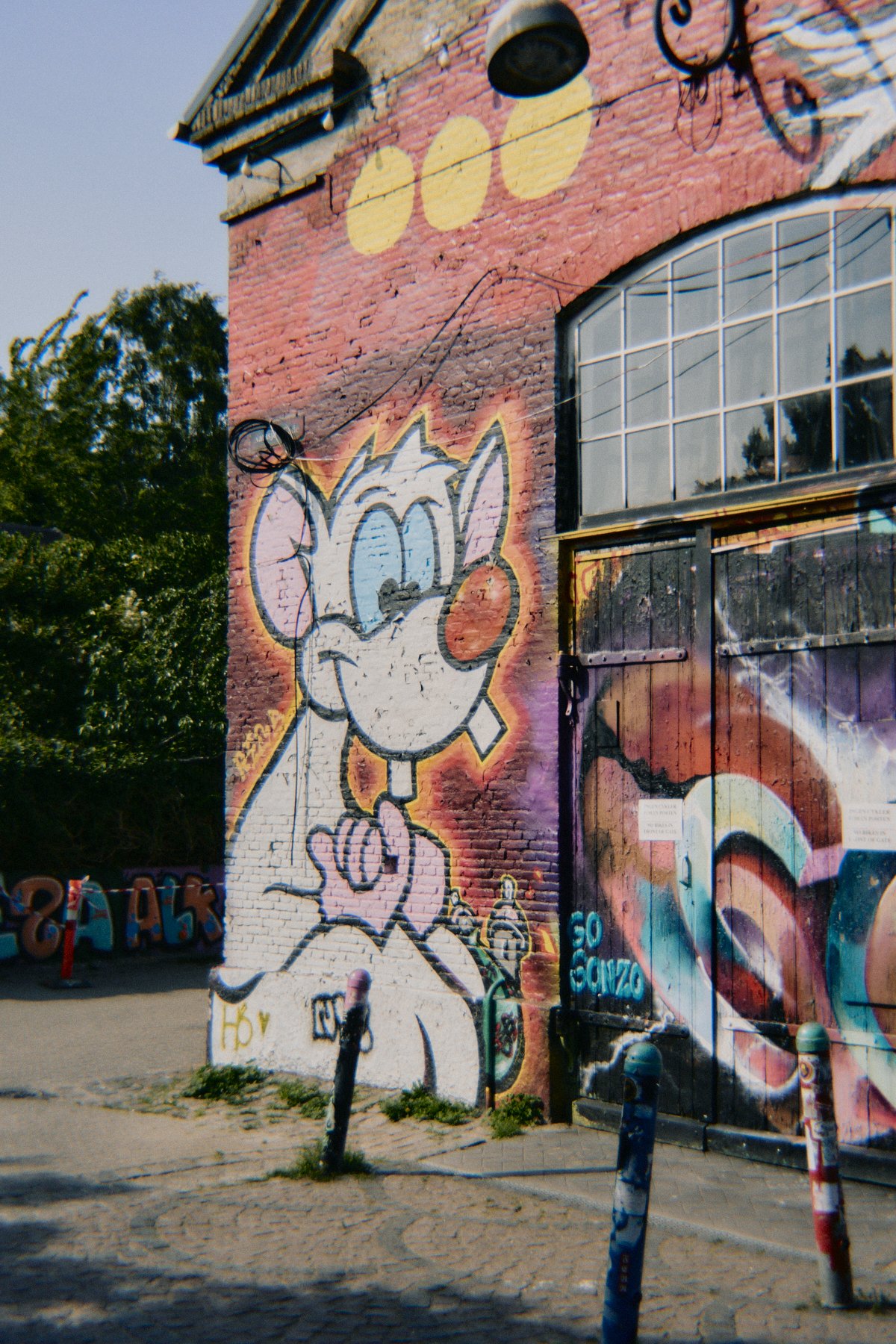 DSC08550.jpg