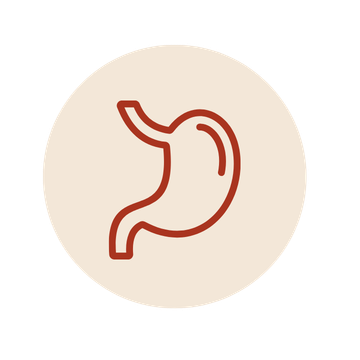 Stomach icon for digestive tracking tools