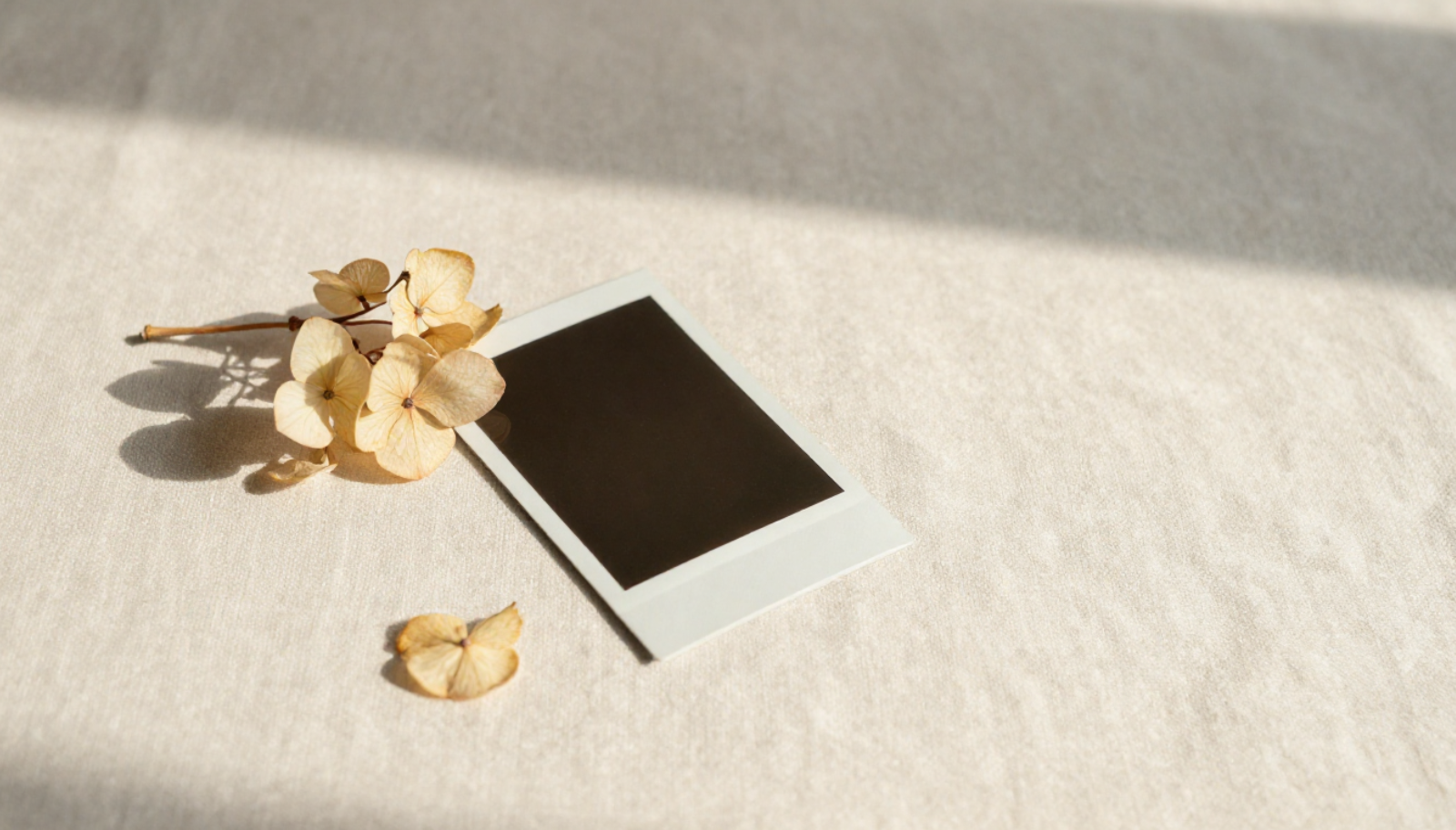 Why Good Days Are Erased From Memory