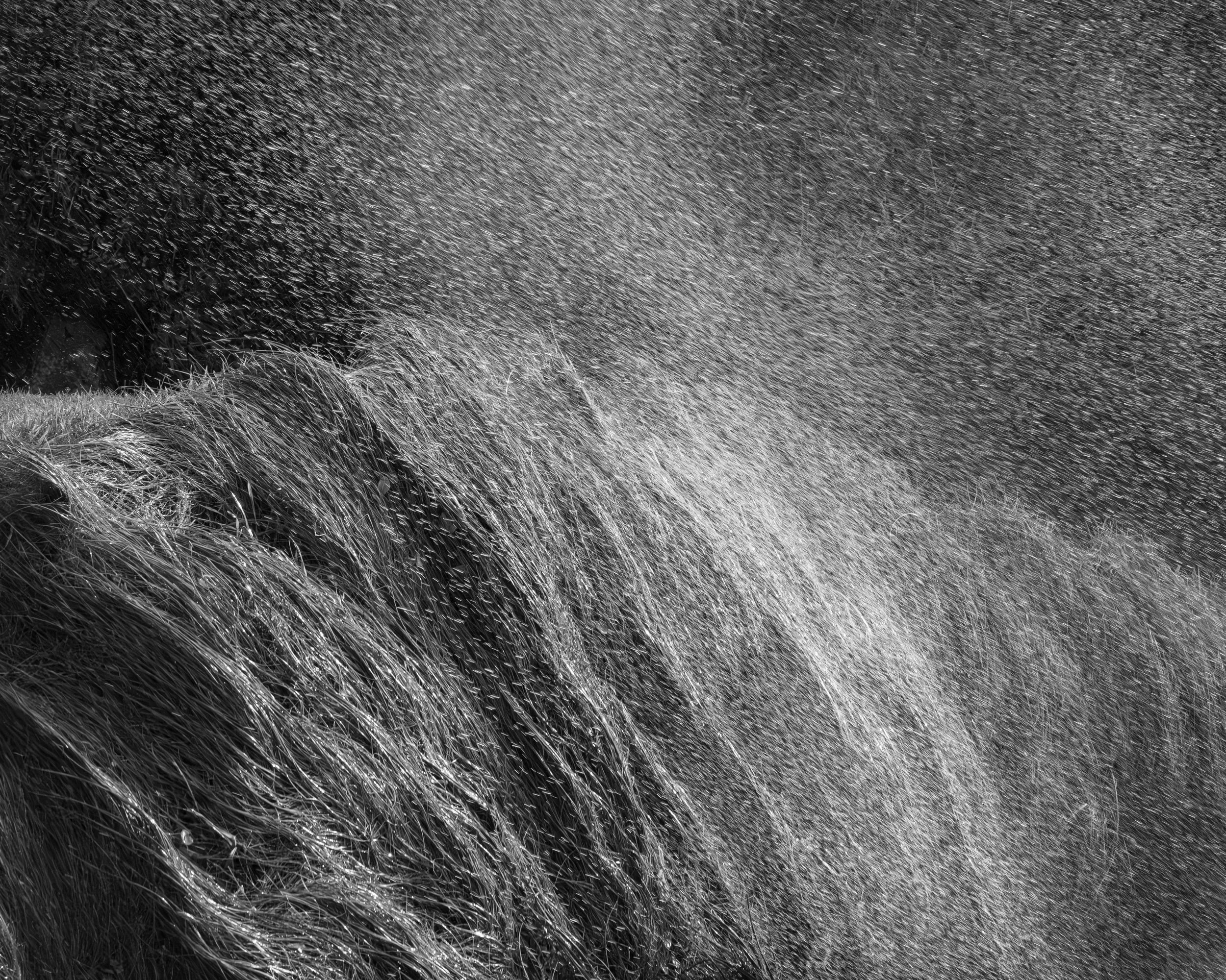 Hartland Spray (reduced Size).jpg