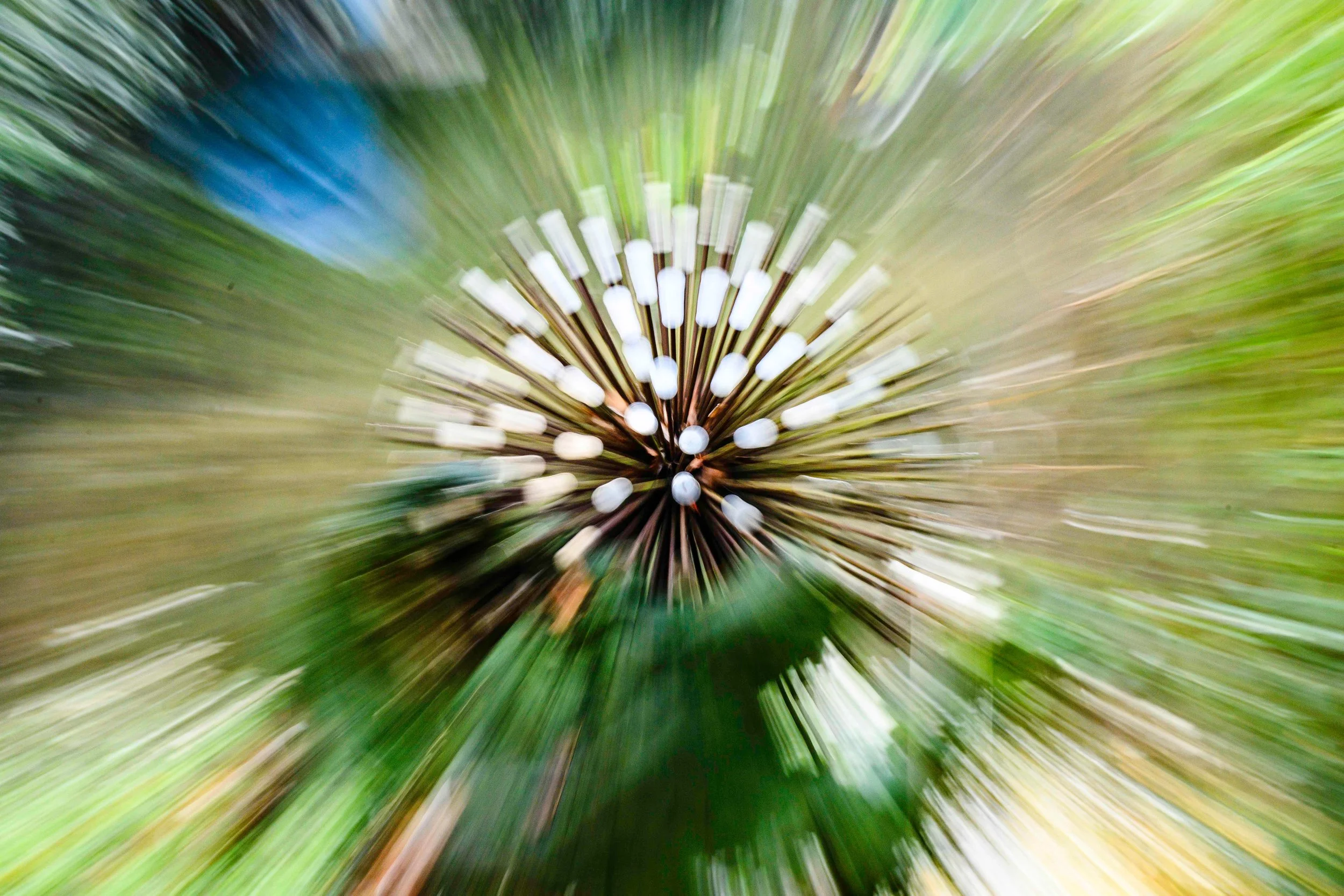 Warp Factor 3 (reduced).jpg