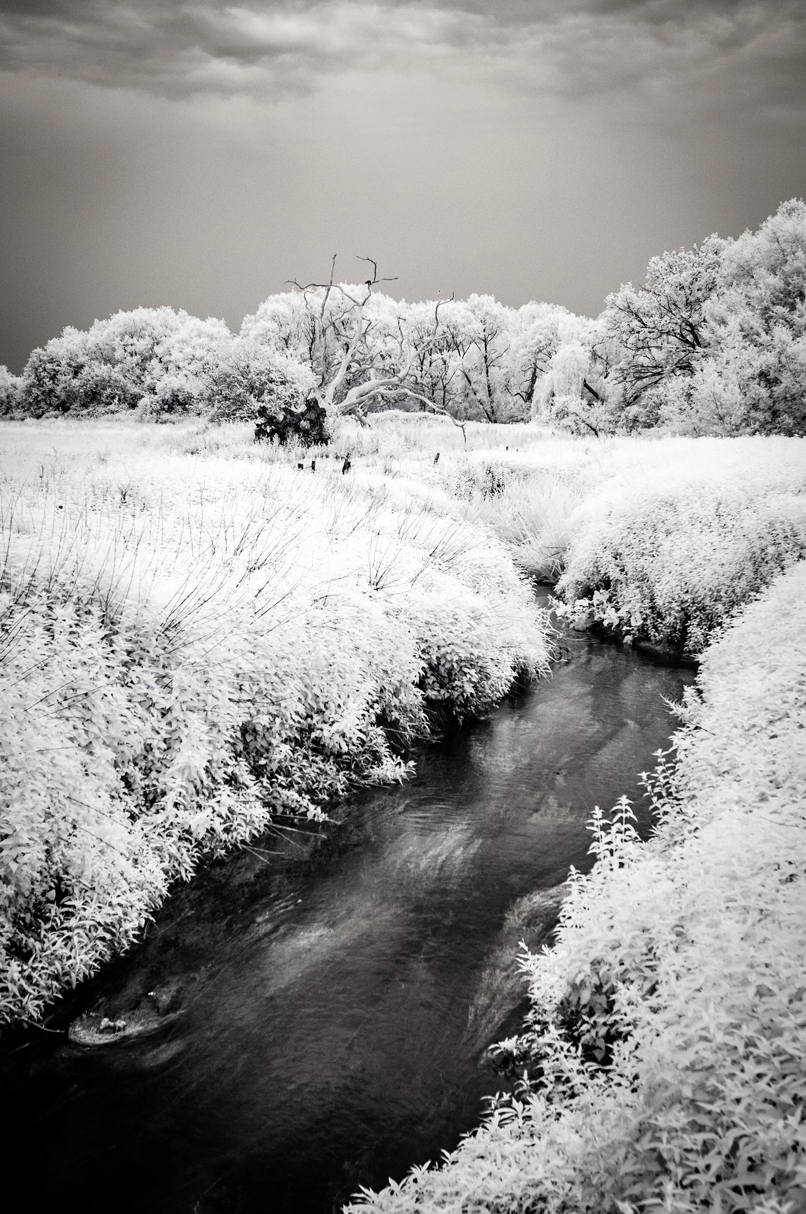 Sidlow Stream.jpg
