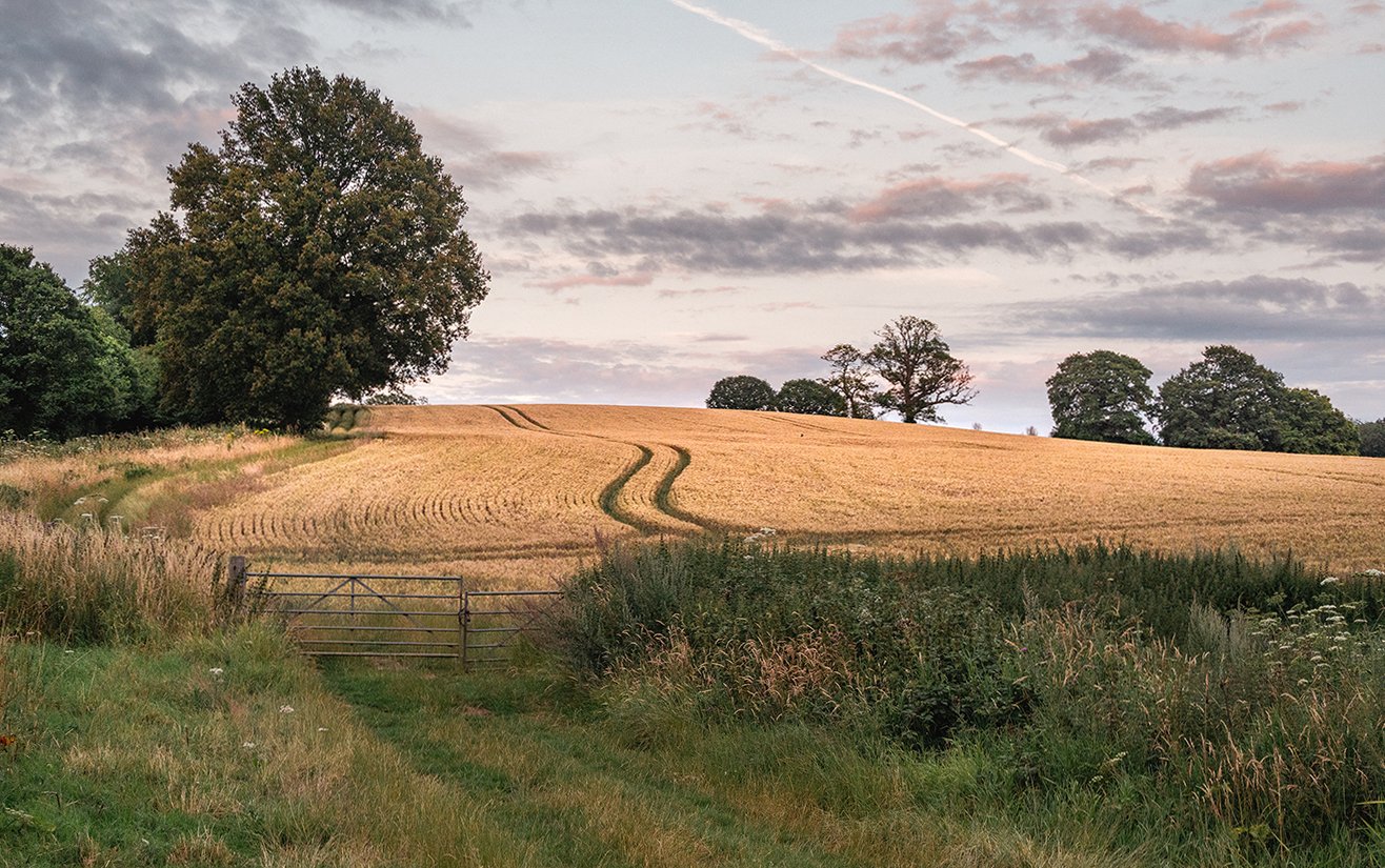 Wotton Fields.jpg