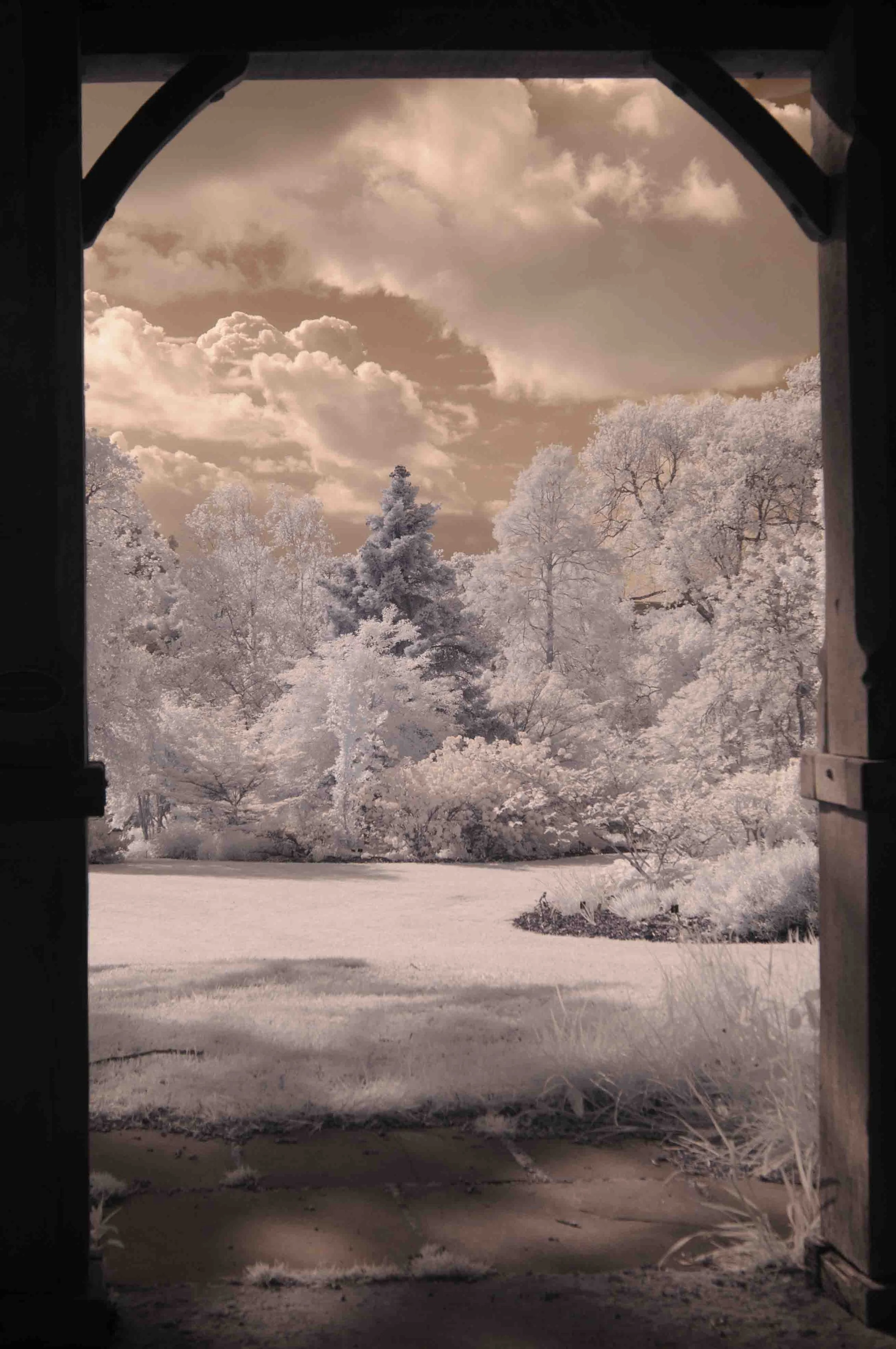 RHS Rosemoor IR.jpg