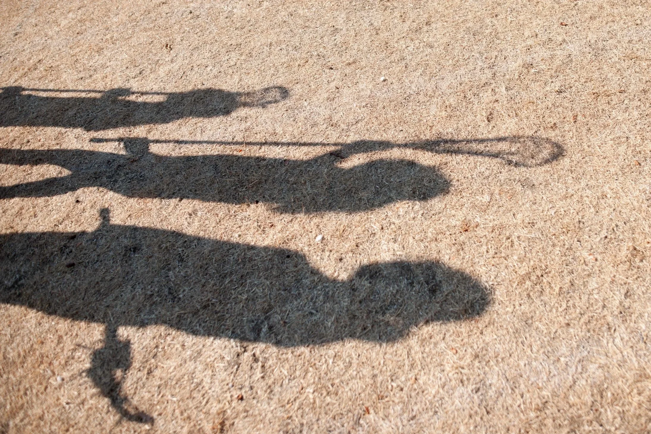 Shadows of lacrosse players on grass