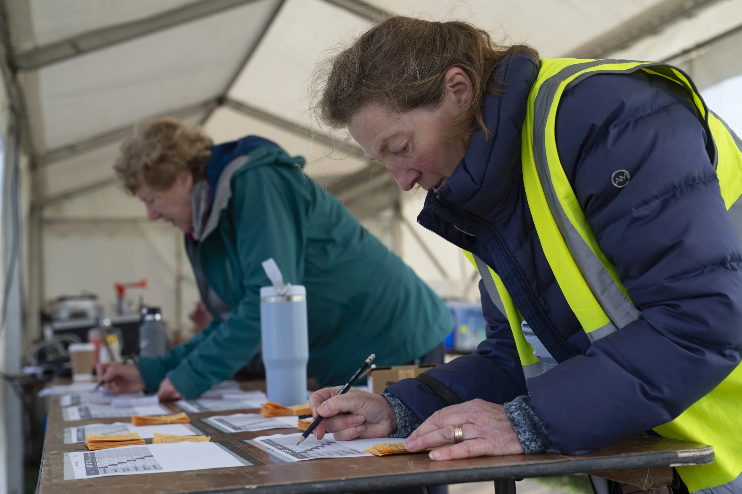 Volunteer at 2026 Home Internationals Series