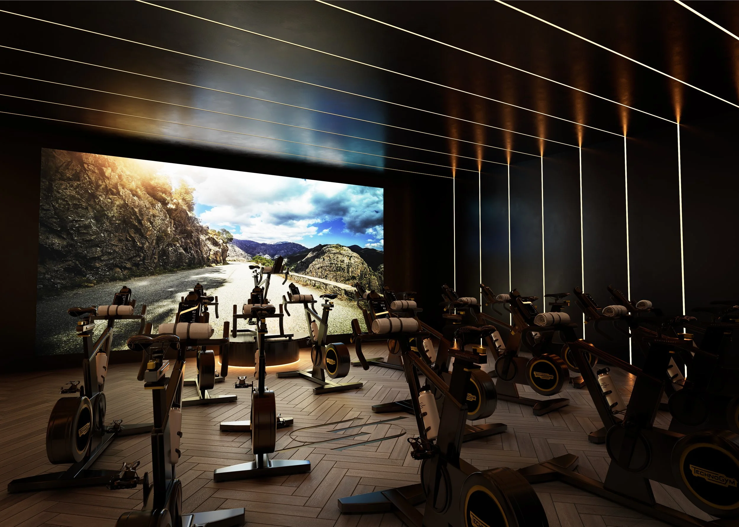 N11_CycleStudio_R04_Final.jpg
