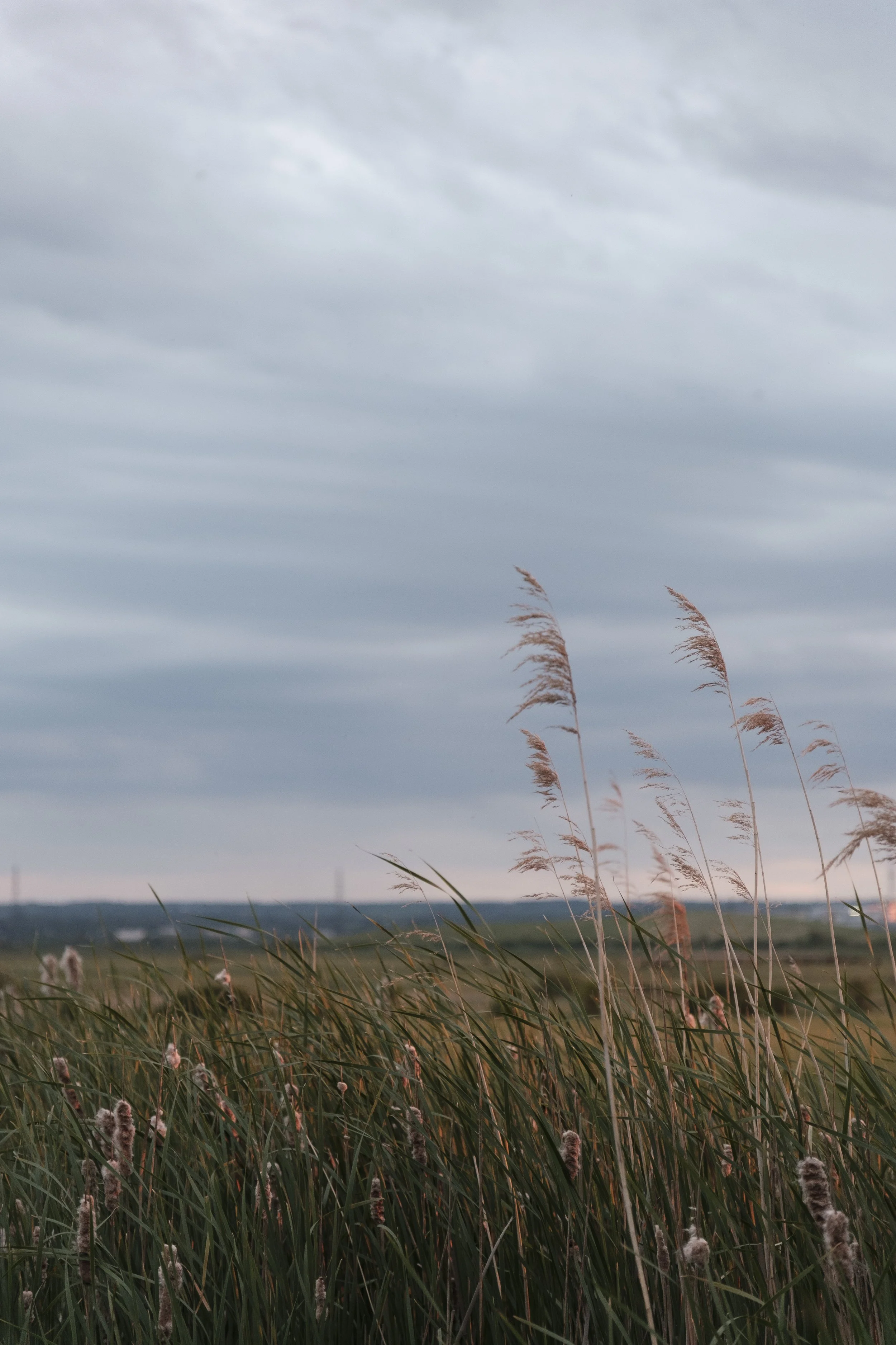 CAUGHTBYTHERIVER-23.JPG