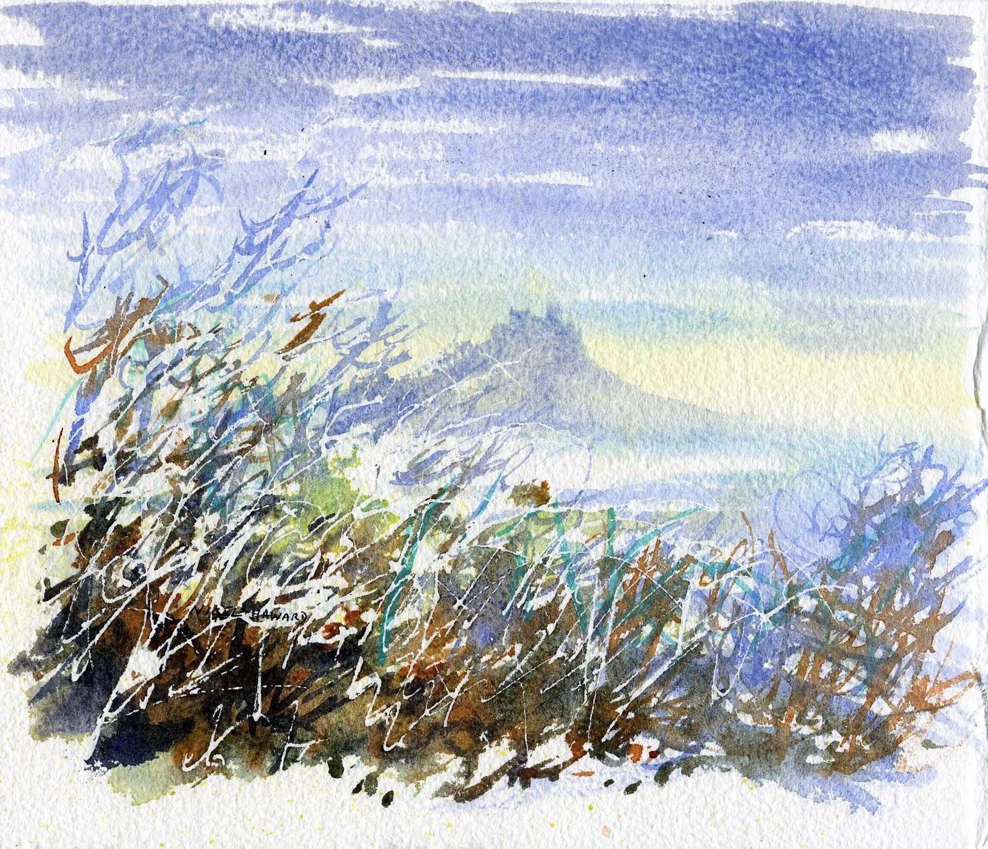 St Michael's Mount glimpse