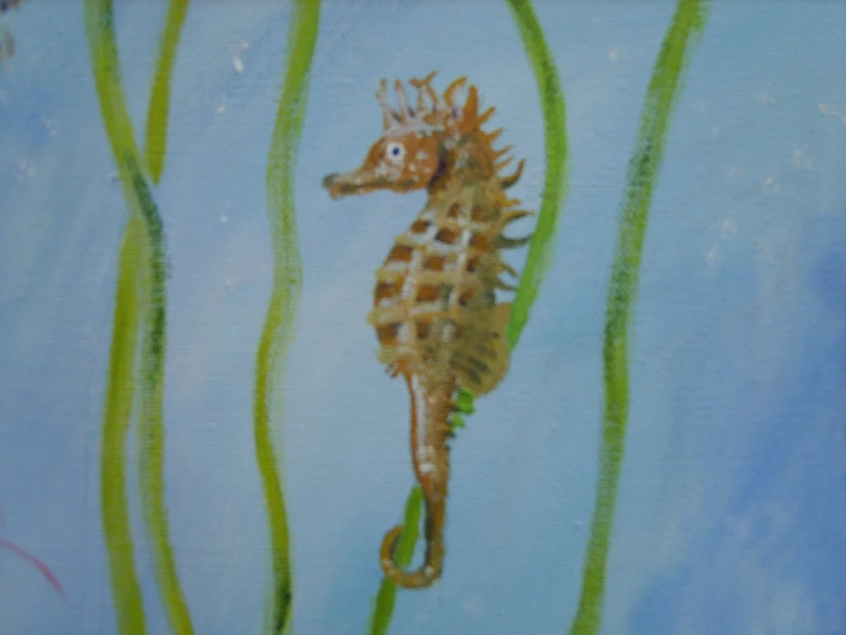 Seahorse