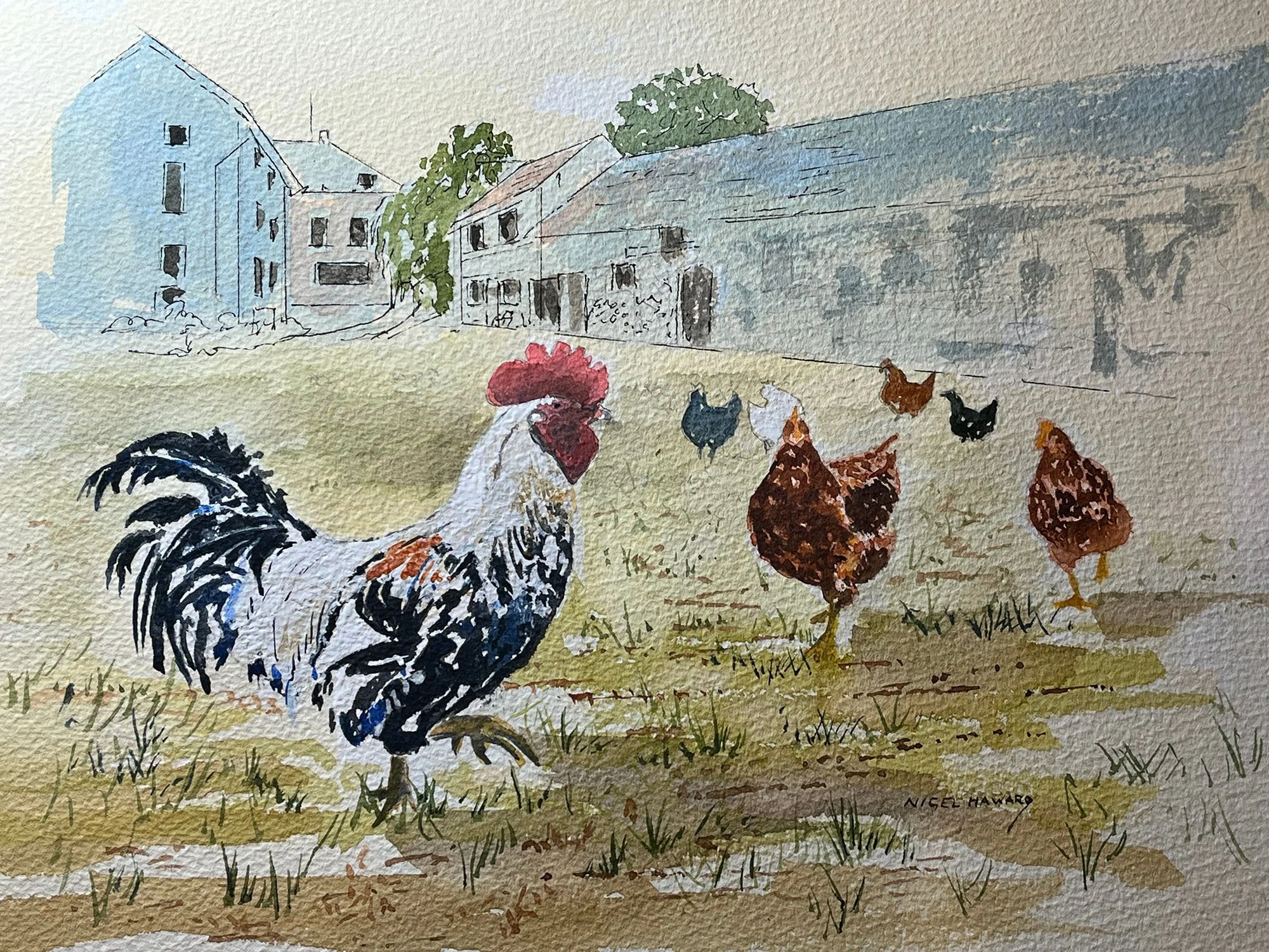 Watercolour commission of chickens in the farmyard at Hradek in the Czech Republic