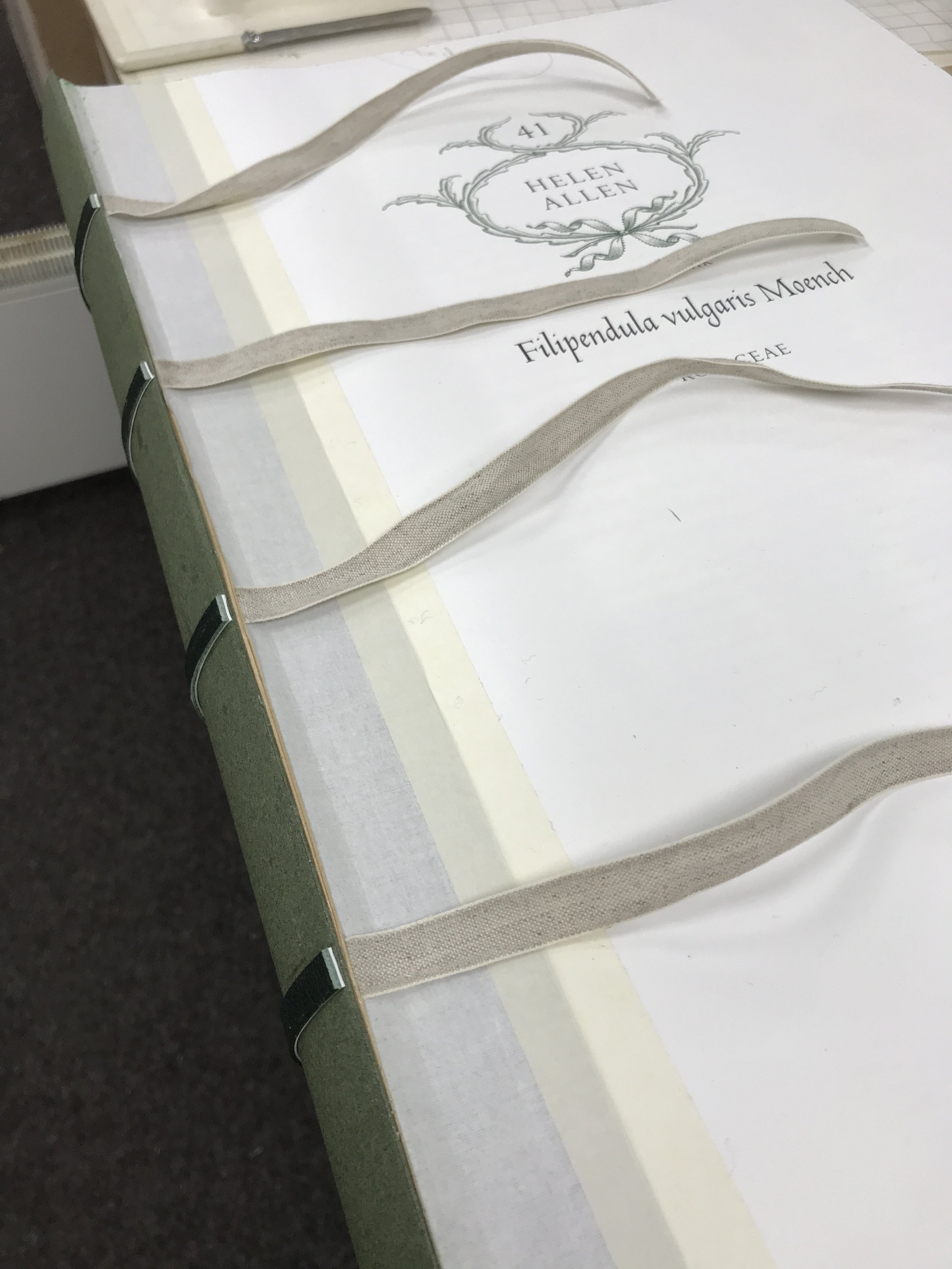 3 Sections sewn on tapes.JPG