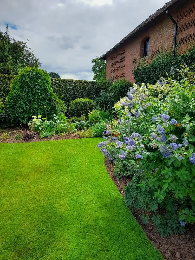 I want spring to come so i can be in the garden again 🙏🌷 

#adventure #garden #flowers #love