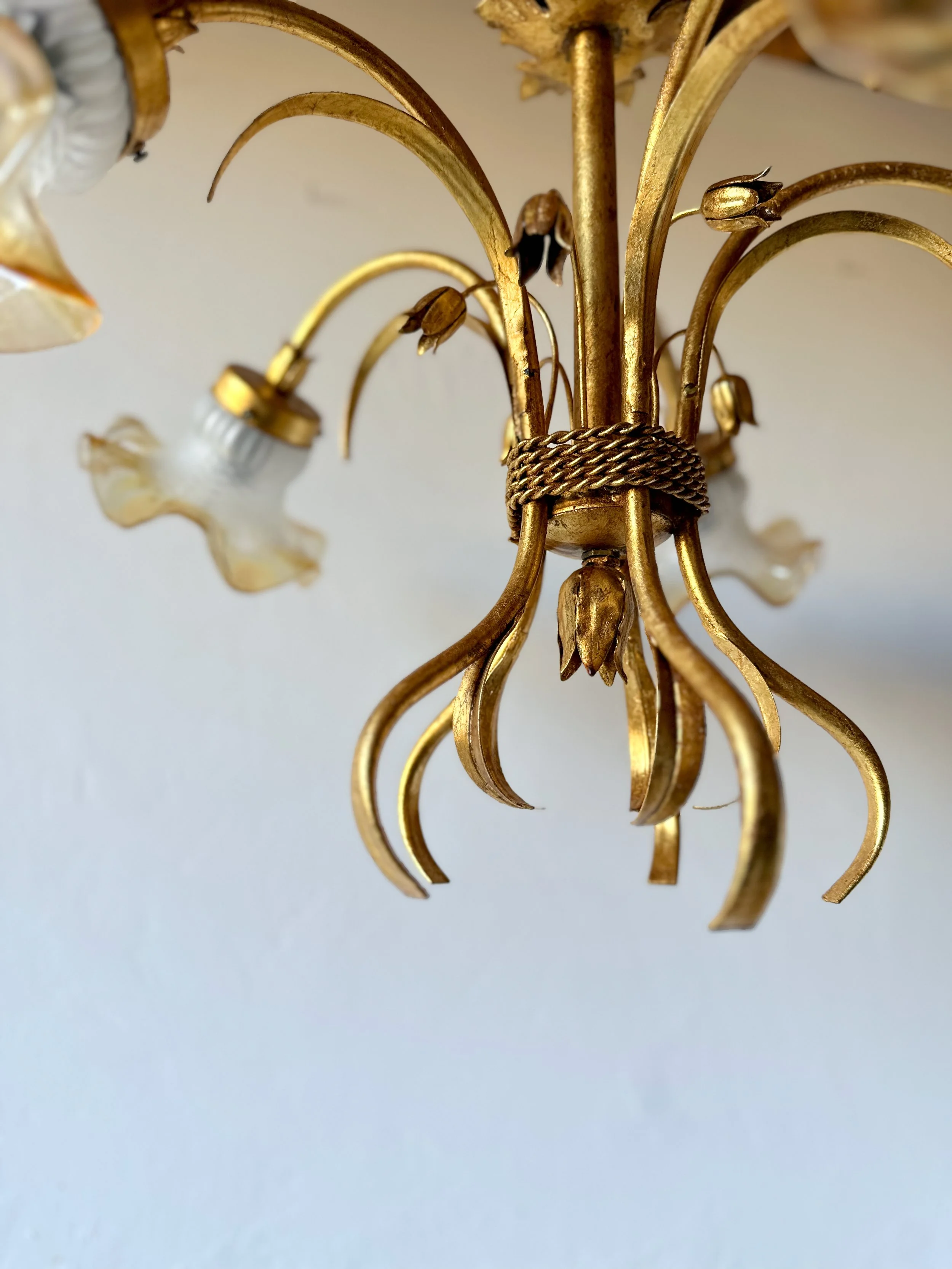 IMG_8646.jpeg