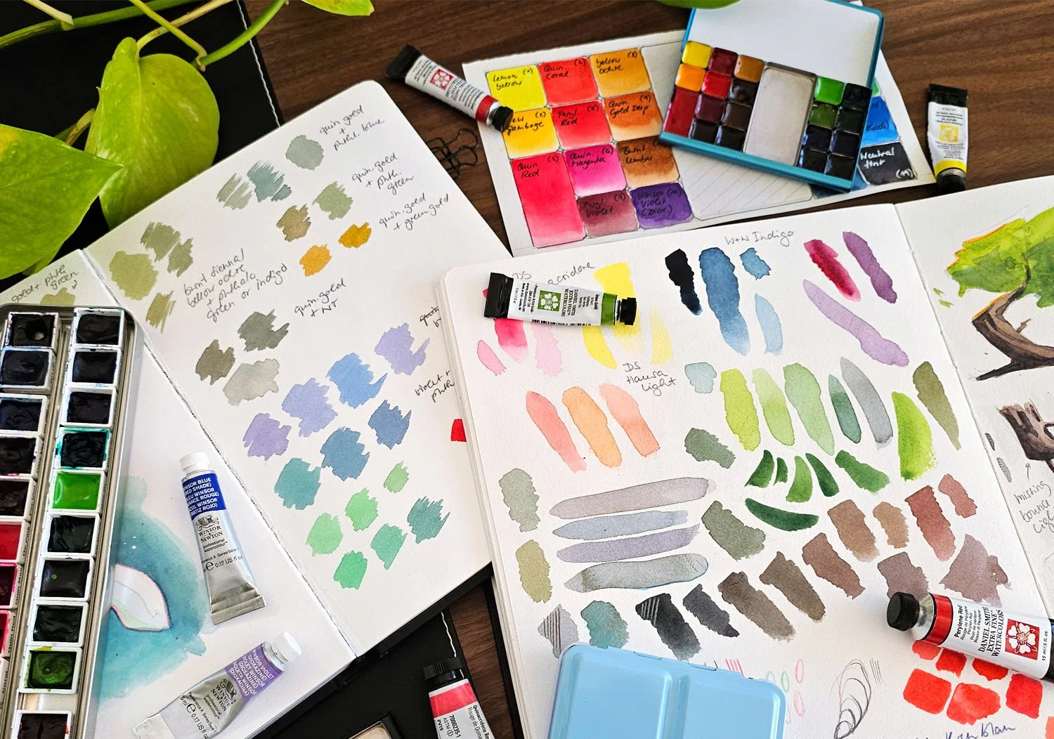 My Watercolour Palette for Nature Journaling (2026)
