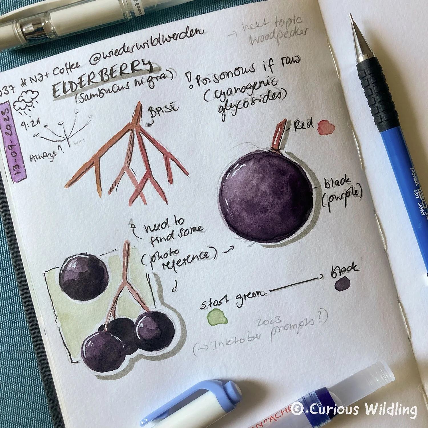 Nature Journal Curious Wildling 01.jpg