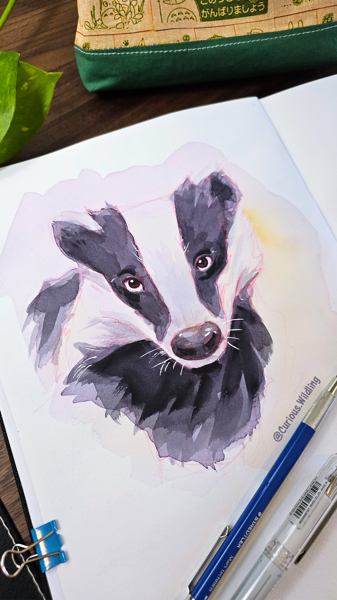 2025 W44 Badger Reel Cover.png