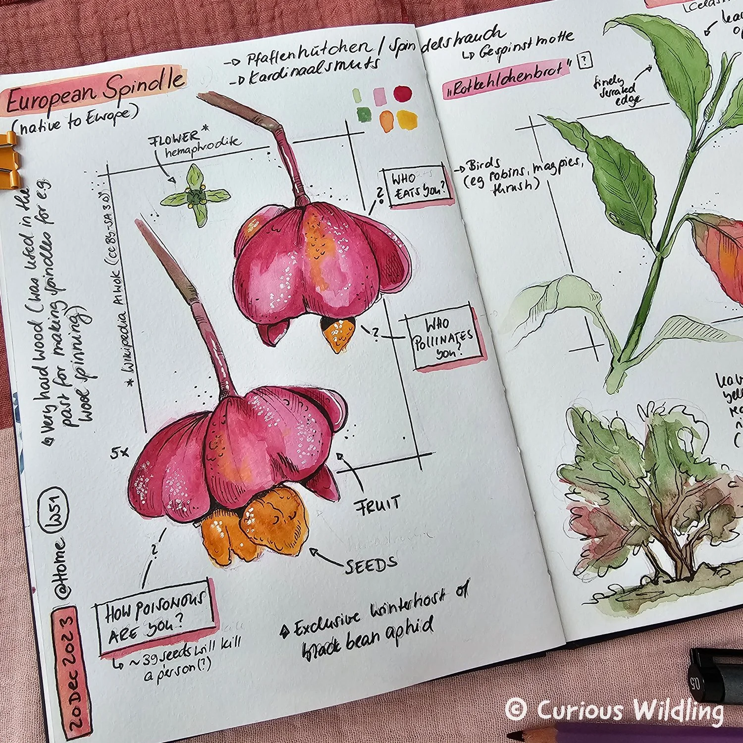 Nature Journal Curious Wildling 07.jpg