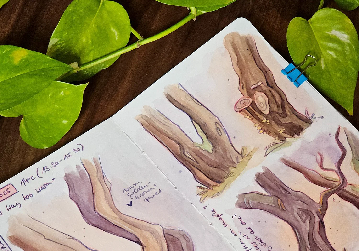 Why I’m Starting This Blog