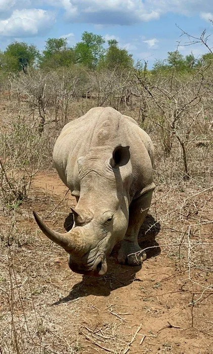 Eswatini11.jpg