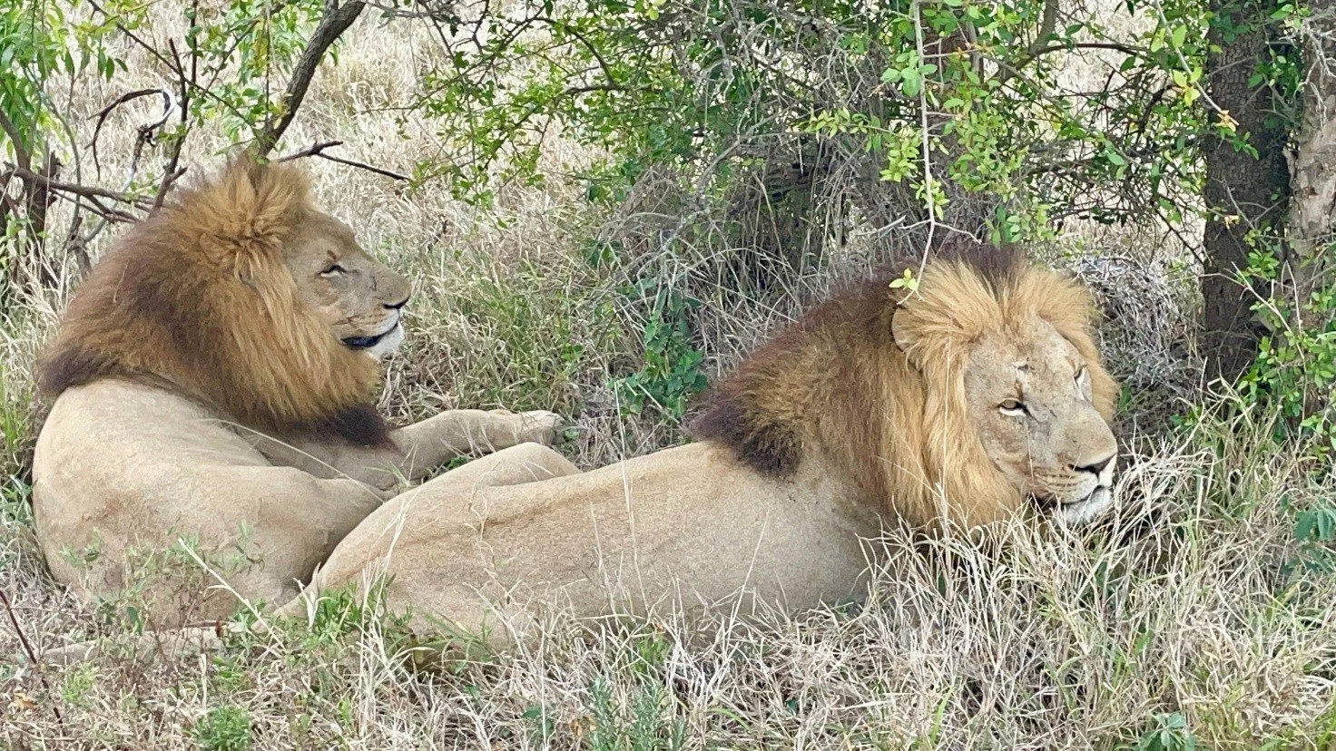 Eswatini10.jpg
