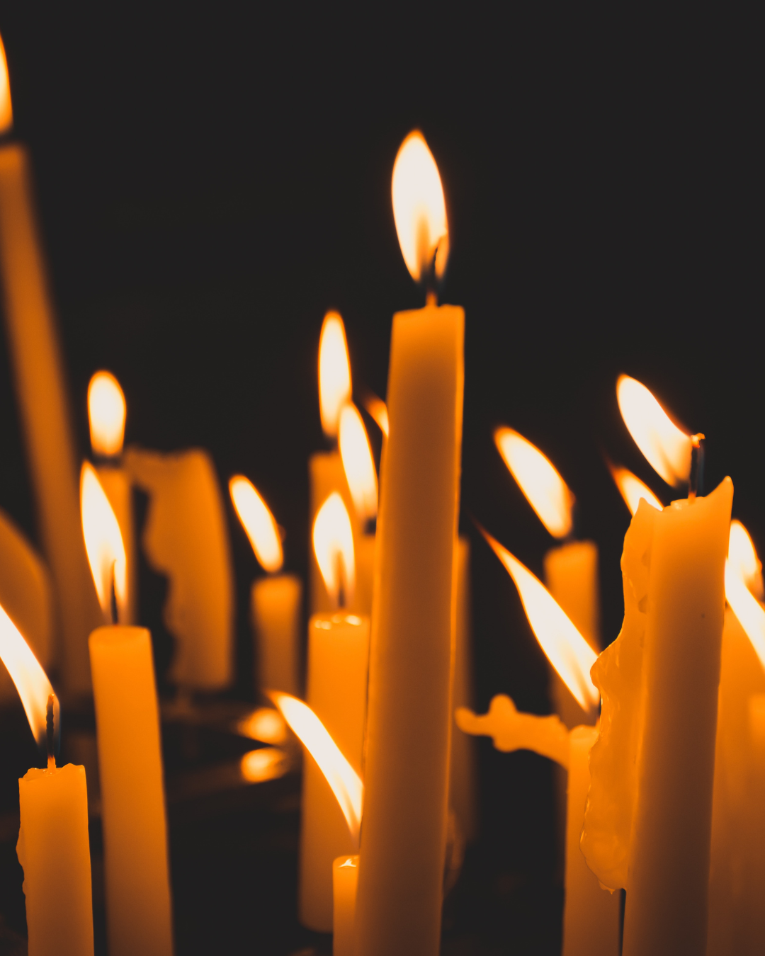 Anthony van Kampen (1943-2026)