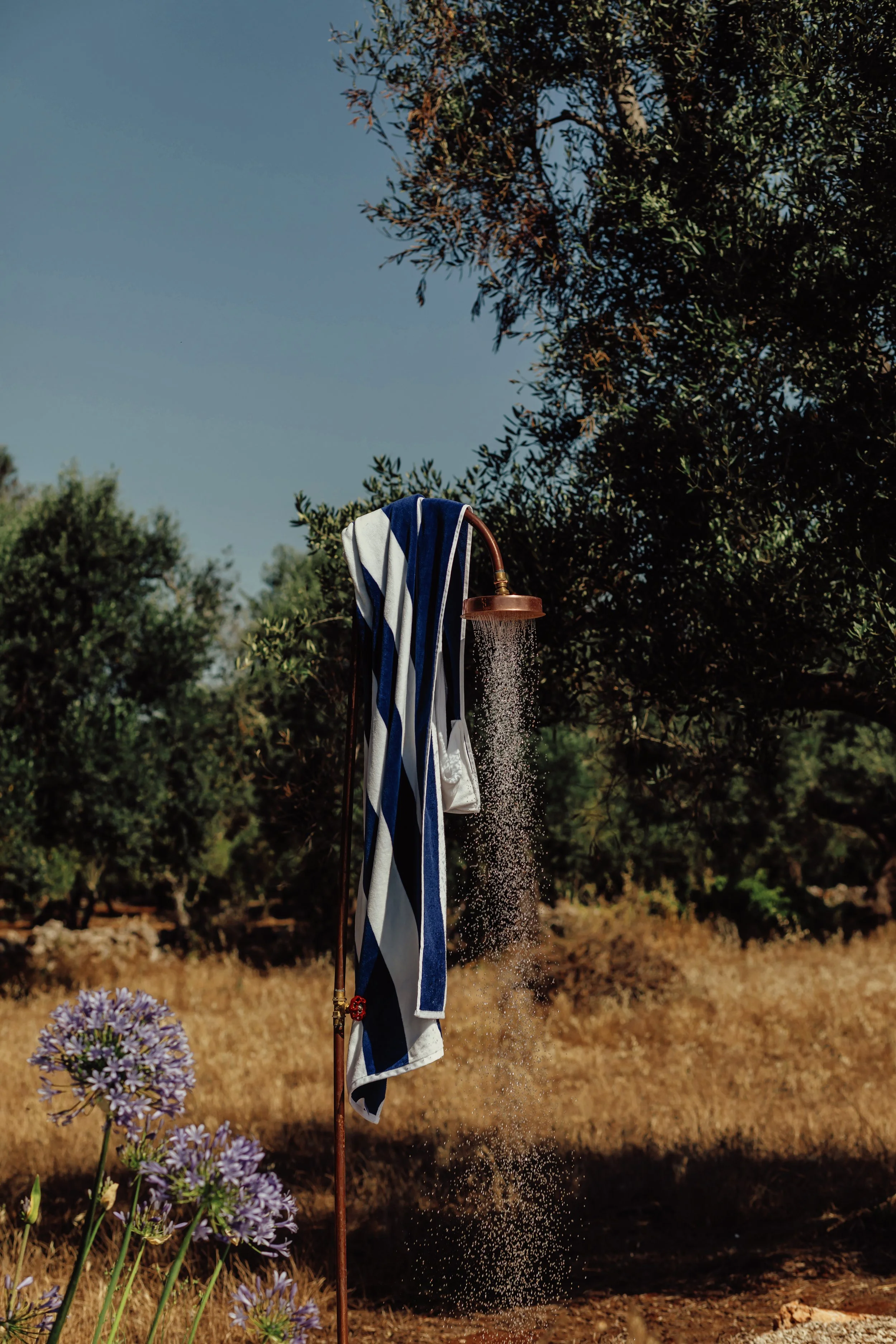 Casa Iccha X A Reyto_2025-57.jpg