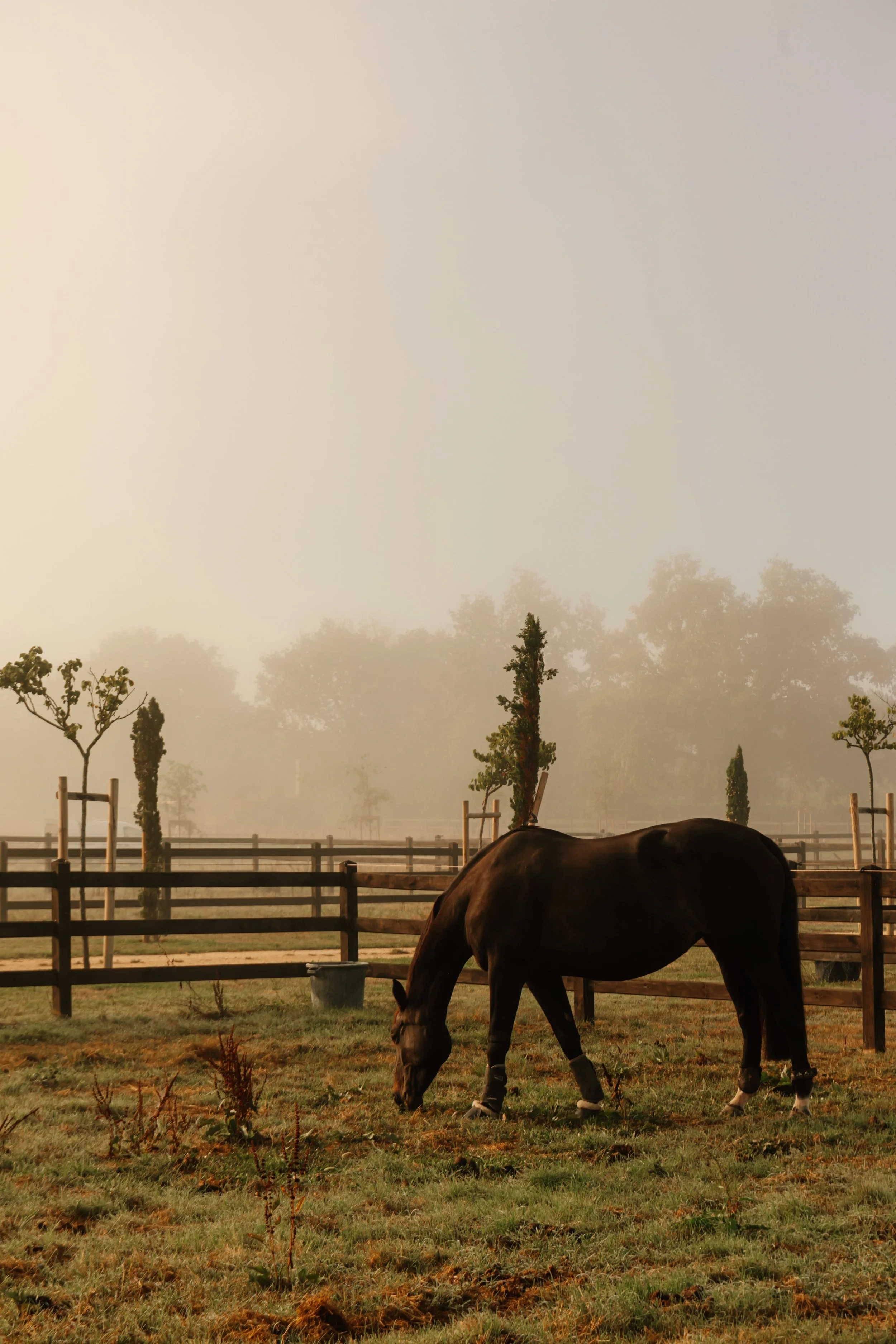 Domaine de Beaulieu_exterior_X Alex Reyto_2025-21.jpg