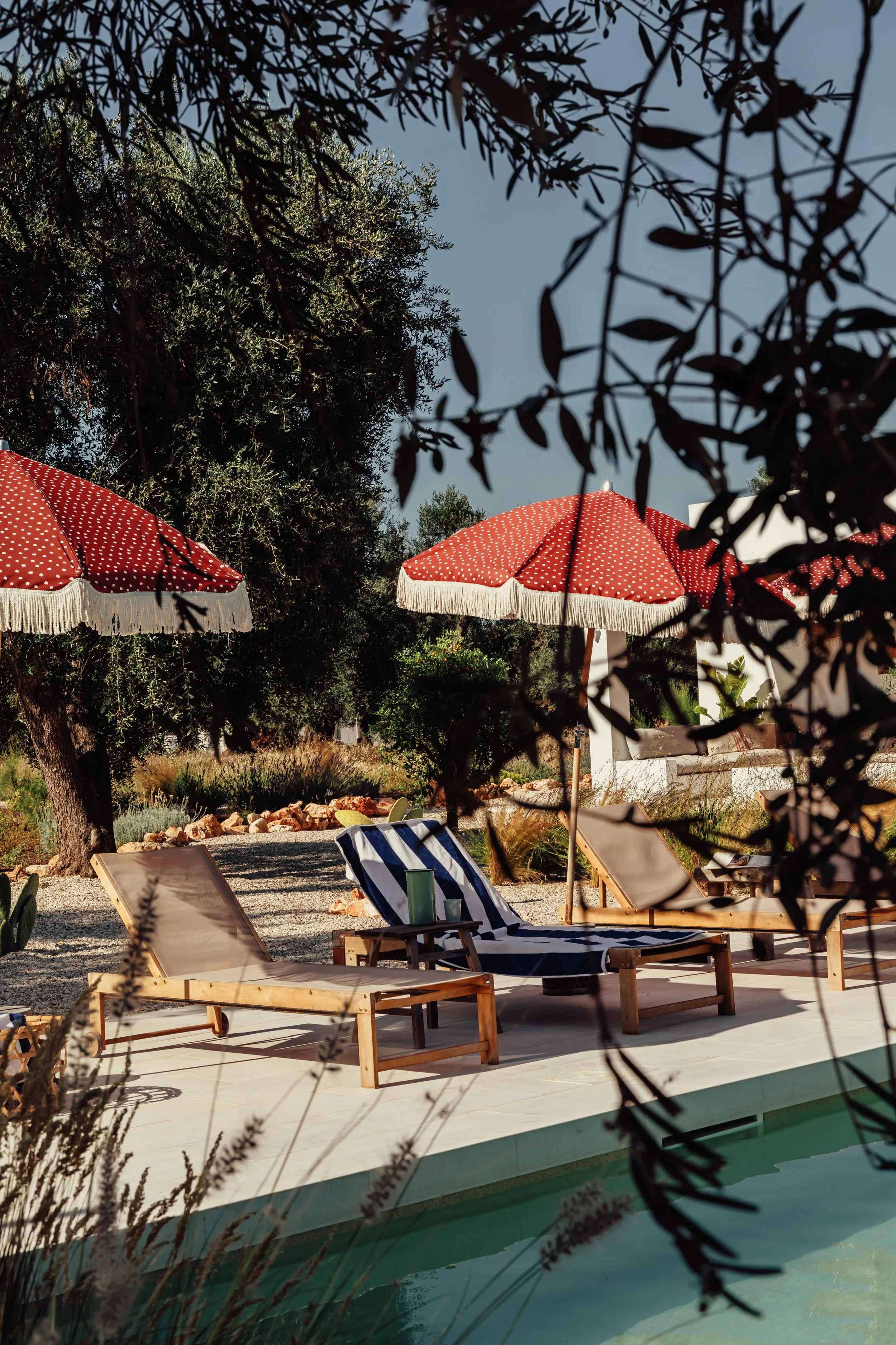 Casa Iccha X A Reyto_2025-136.jpg