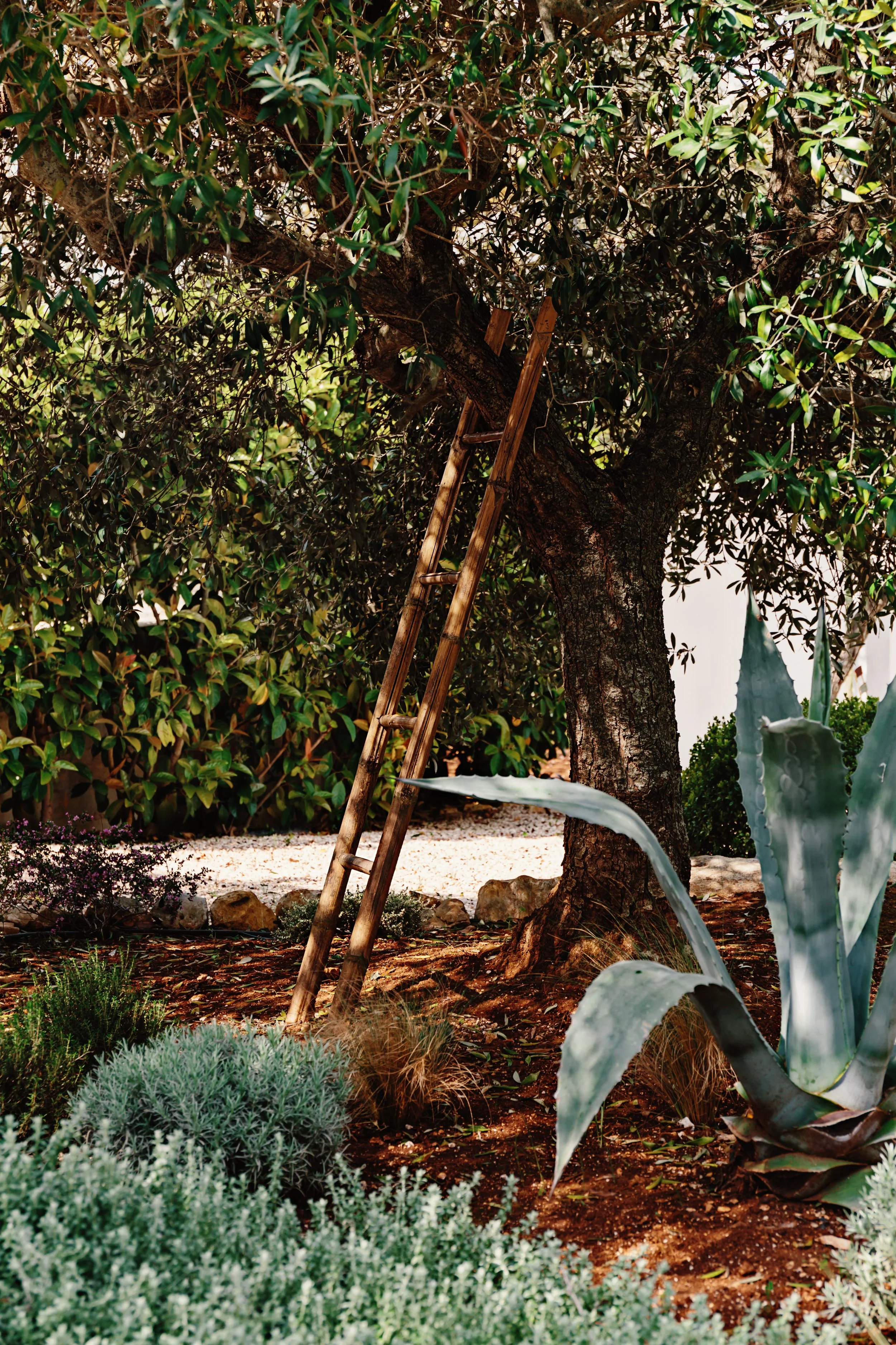 Villa Itria_2025-12.jpg