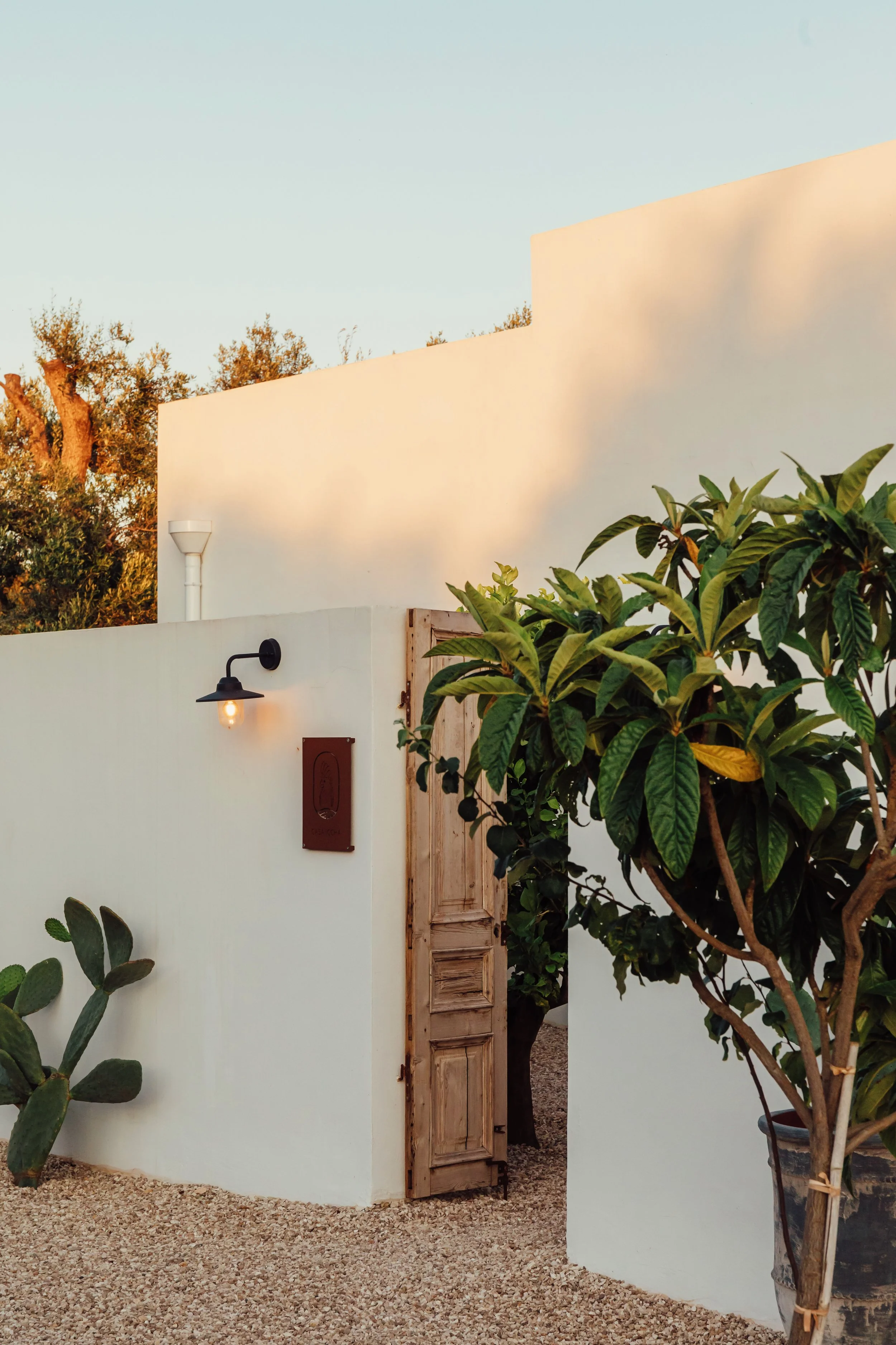 Casa Iccha X A Reyto_2025-23.jpg