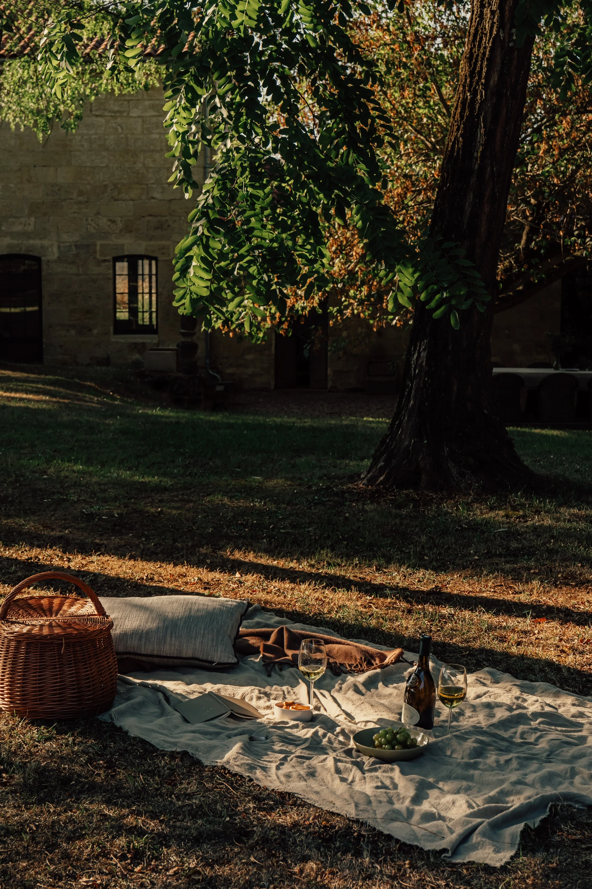 Domaine de Beaulieu_exterior_X Alex Reyto_2025-125.jpg