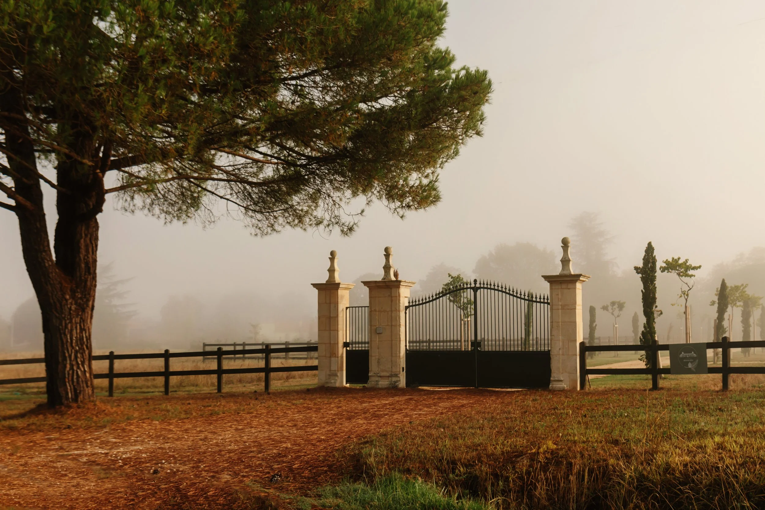 Domaine de Beaulieu_exterior_X Alex Reyto_2025-16.jpg