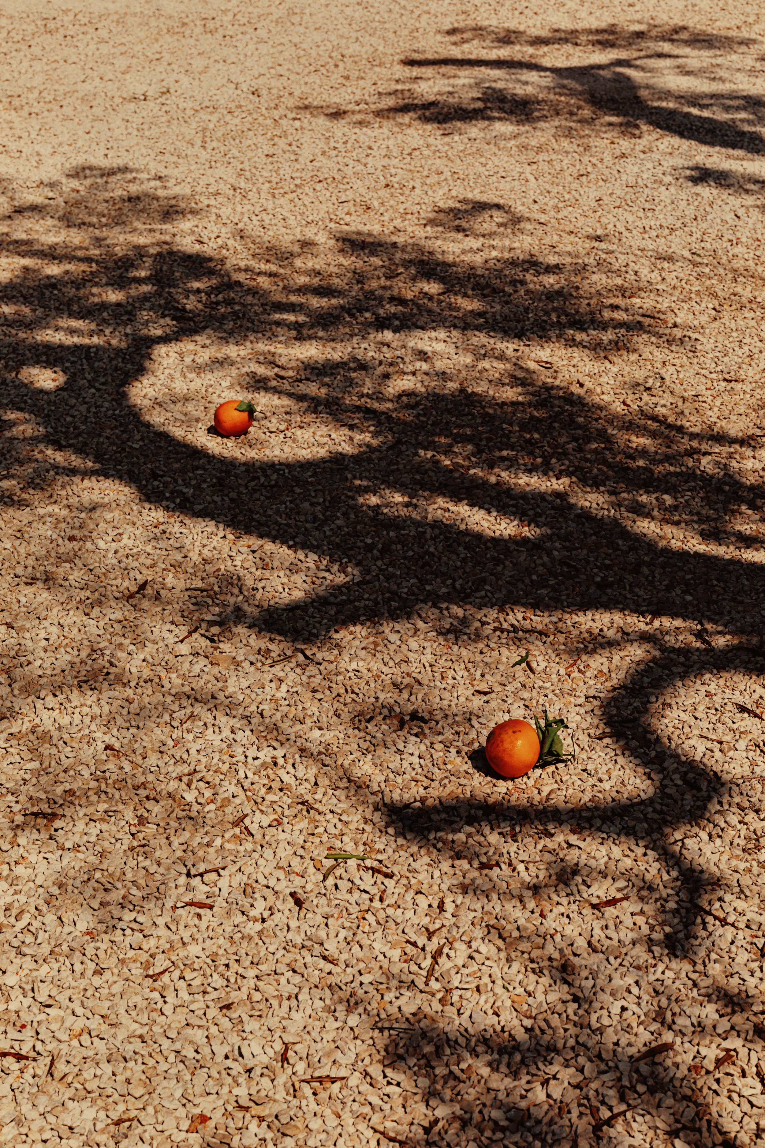 Dimora MM  X Alex Reyto-17b.jpg