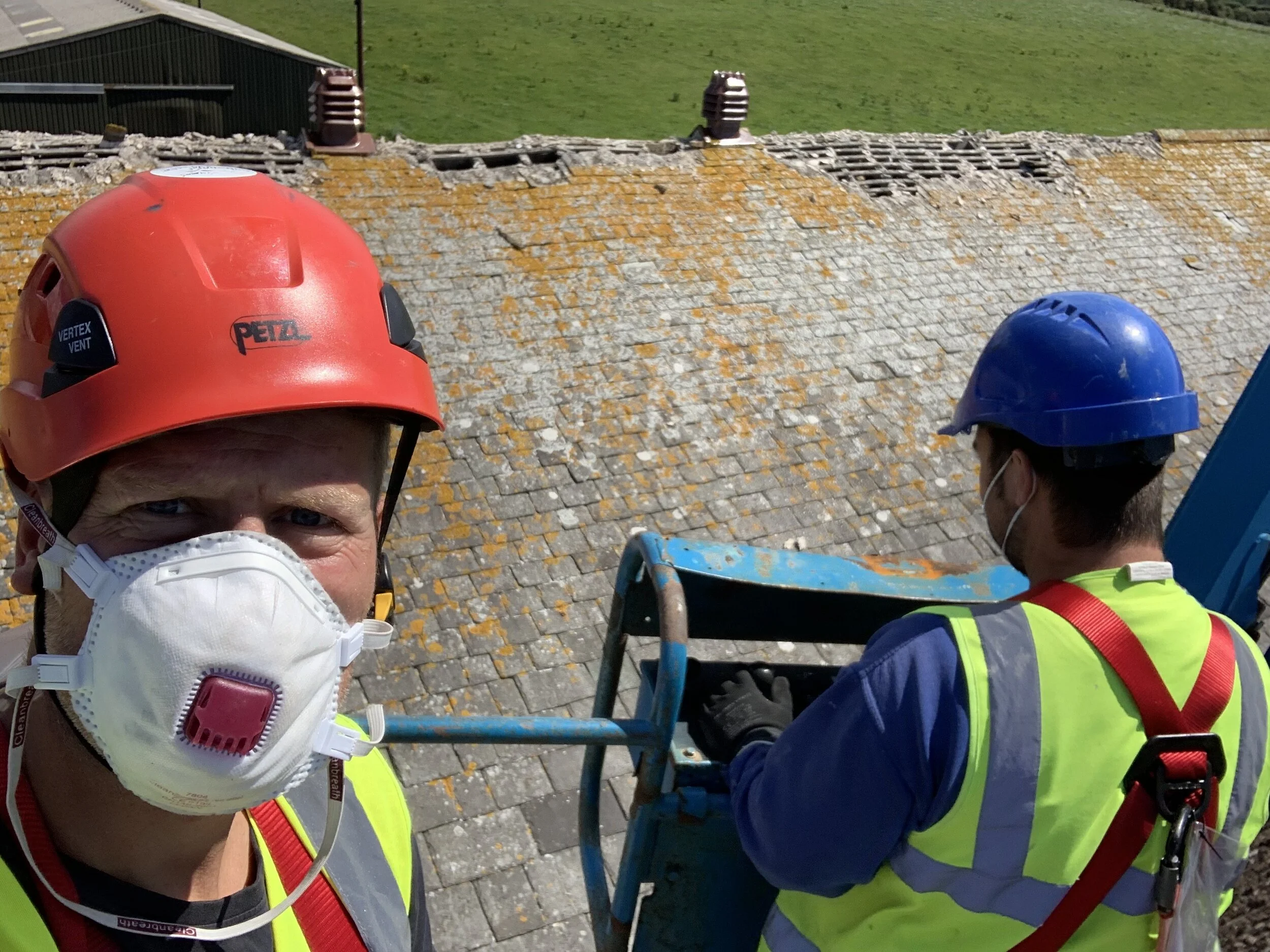 Completing soft-demolition works under bat mitigation licences while adhering to Covid-19 protocols was a challenge