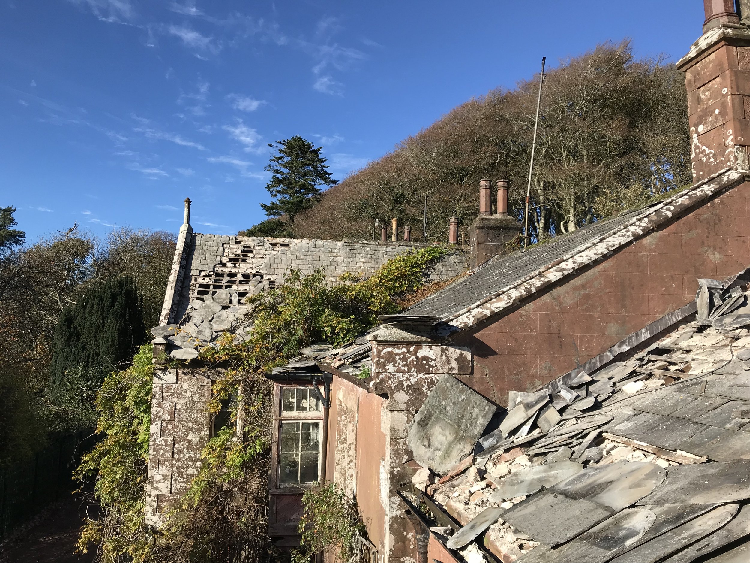 IMG_0816.jpeg