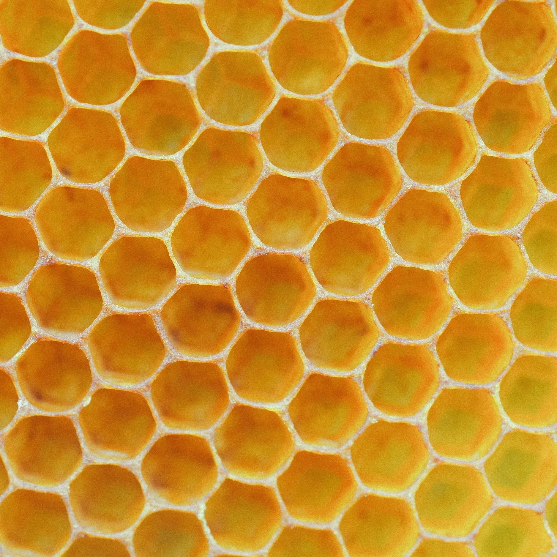 Organic beeswax