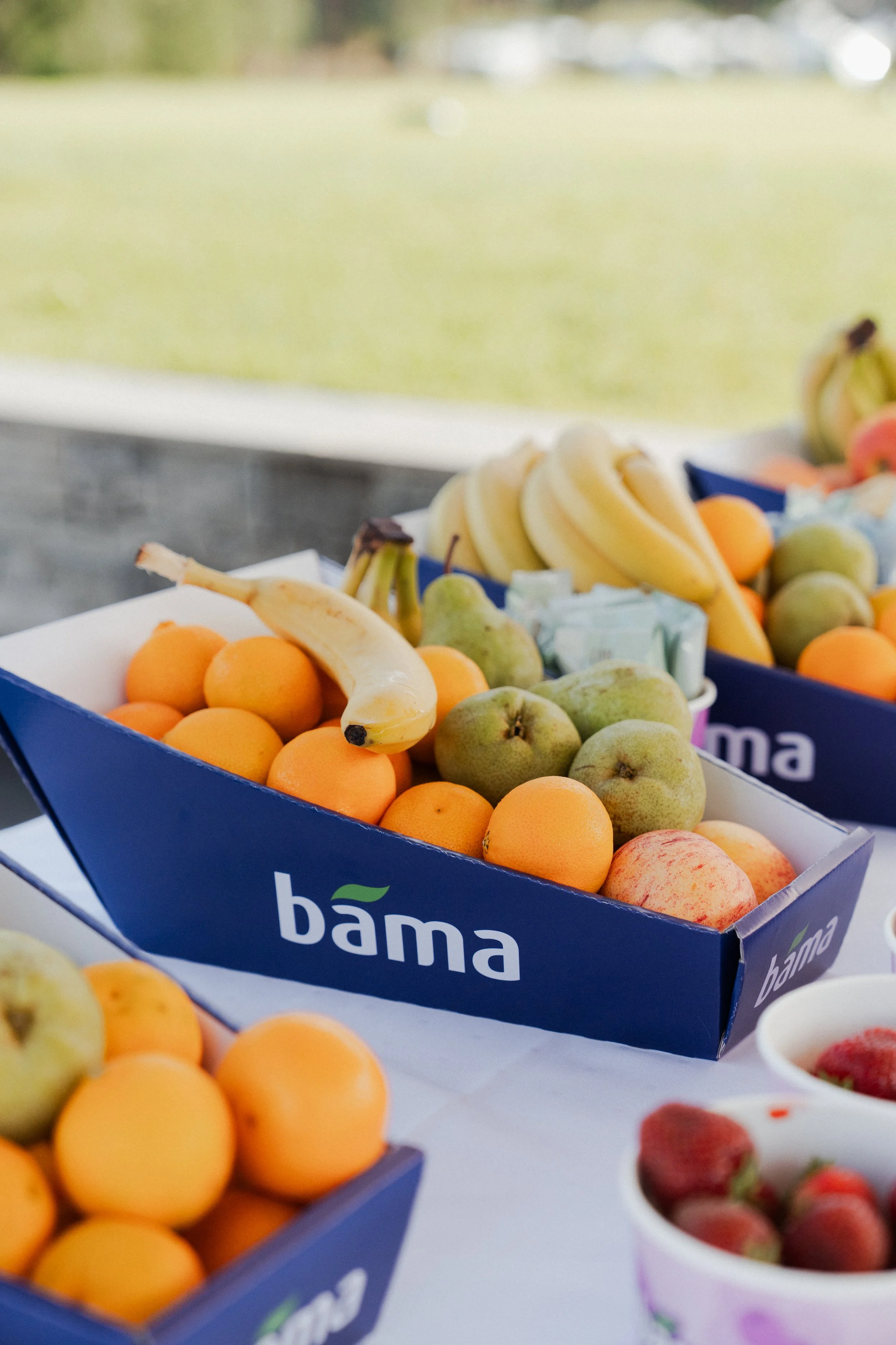 Bama