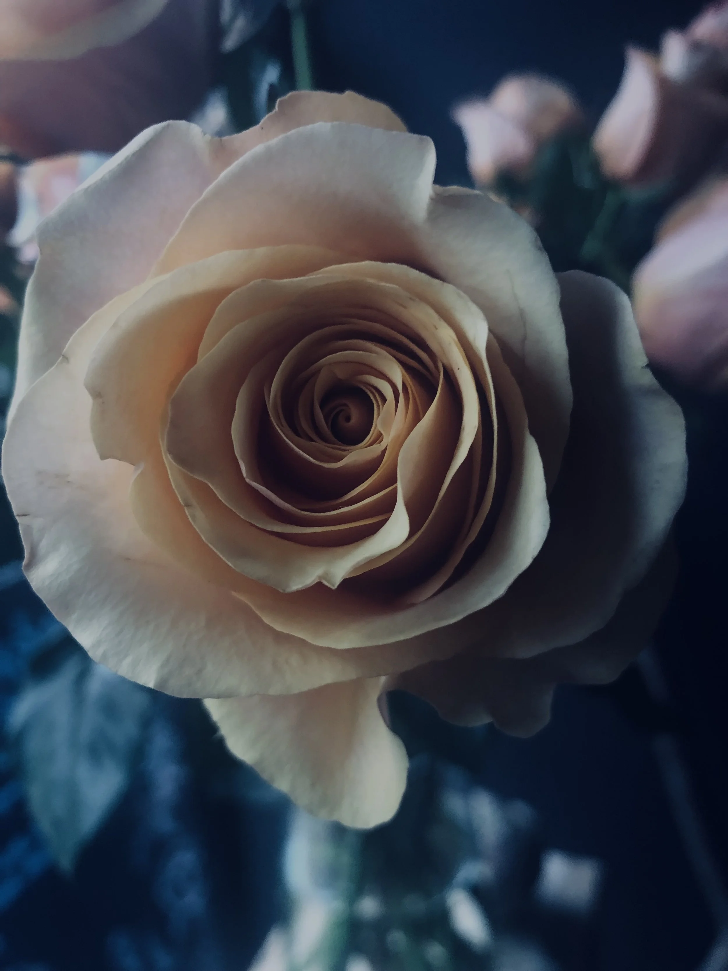 IMG_0577.jpeg