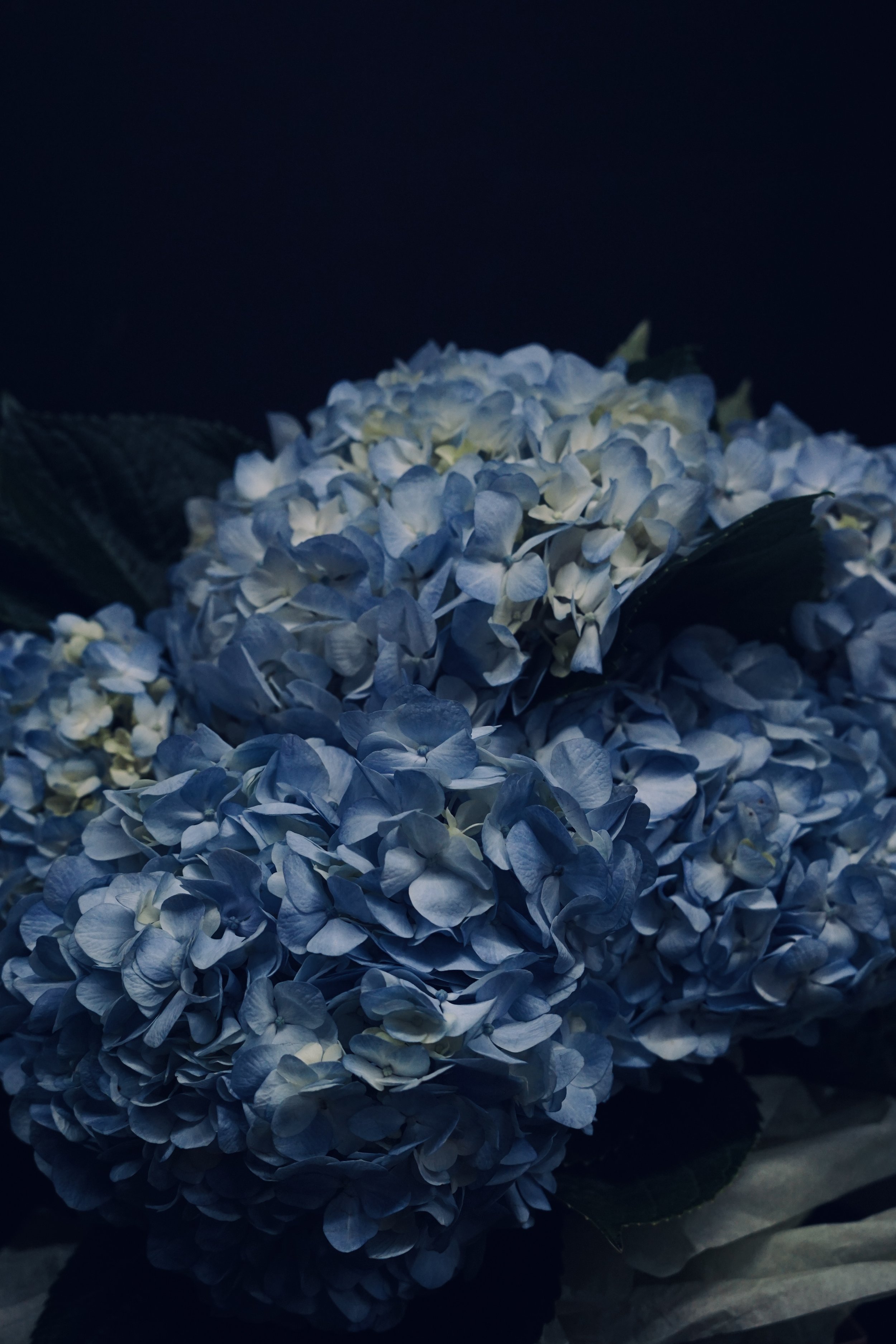 IMG_3334.jpeg