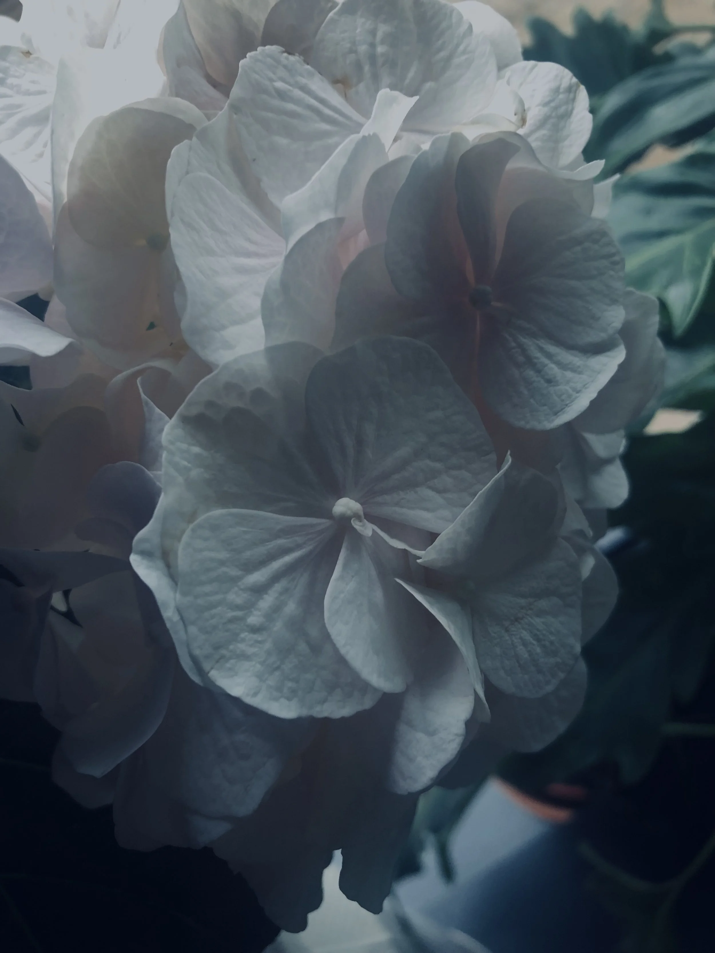 IMG_0580.jpeg