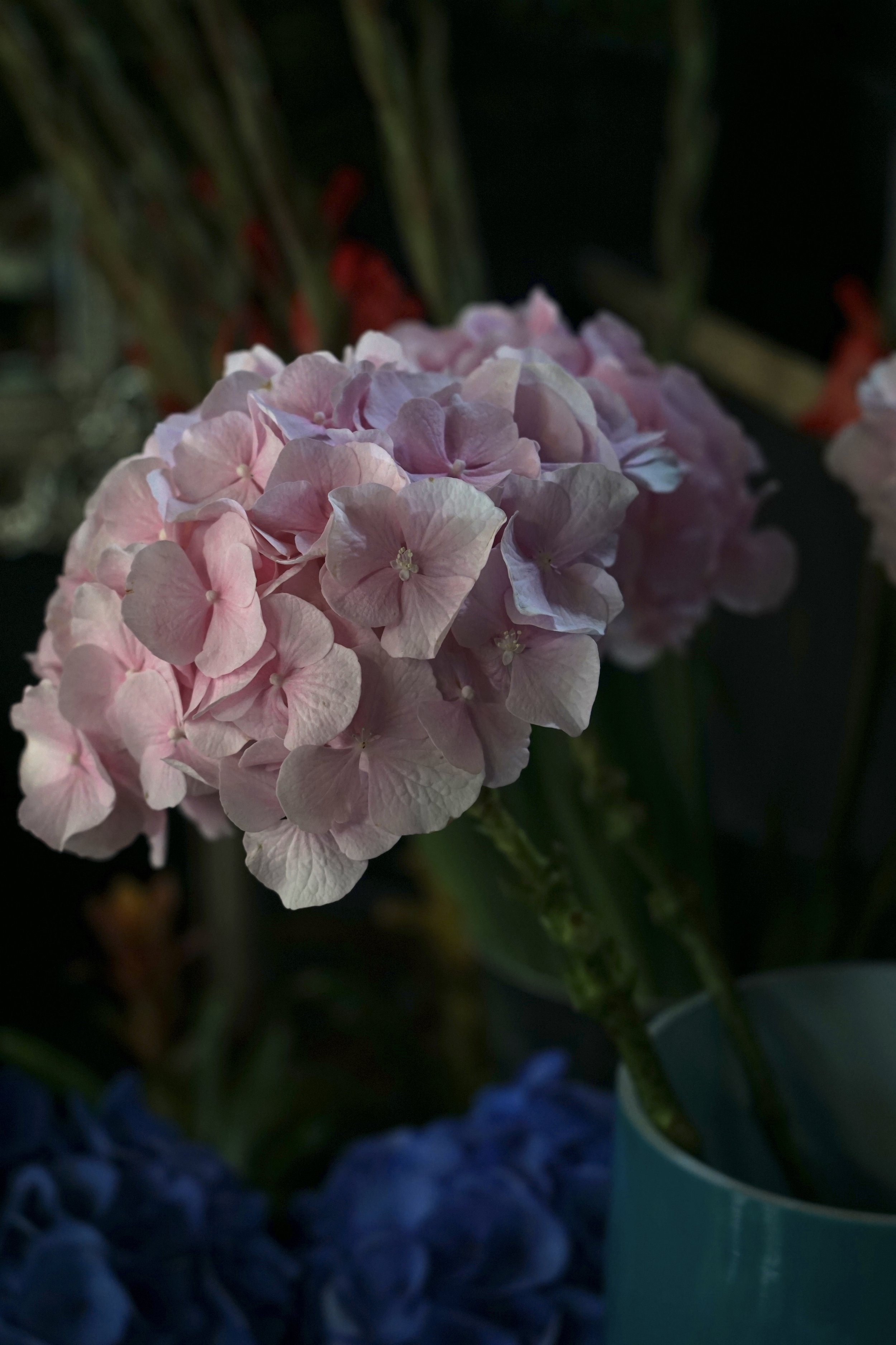 IMG_1974.jpeg